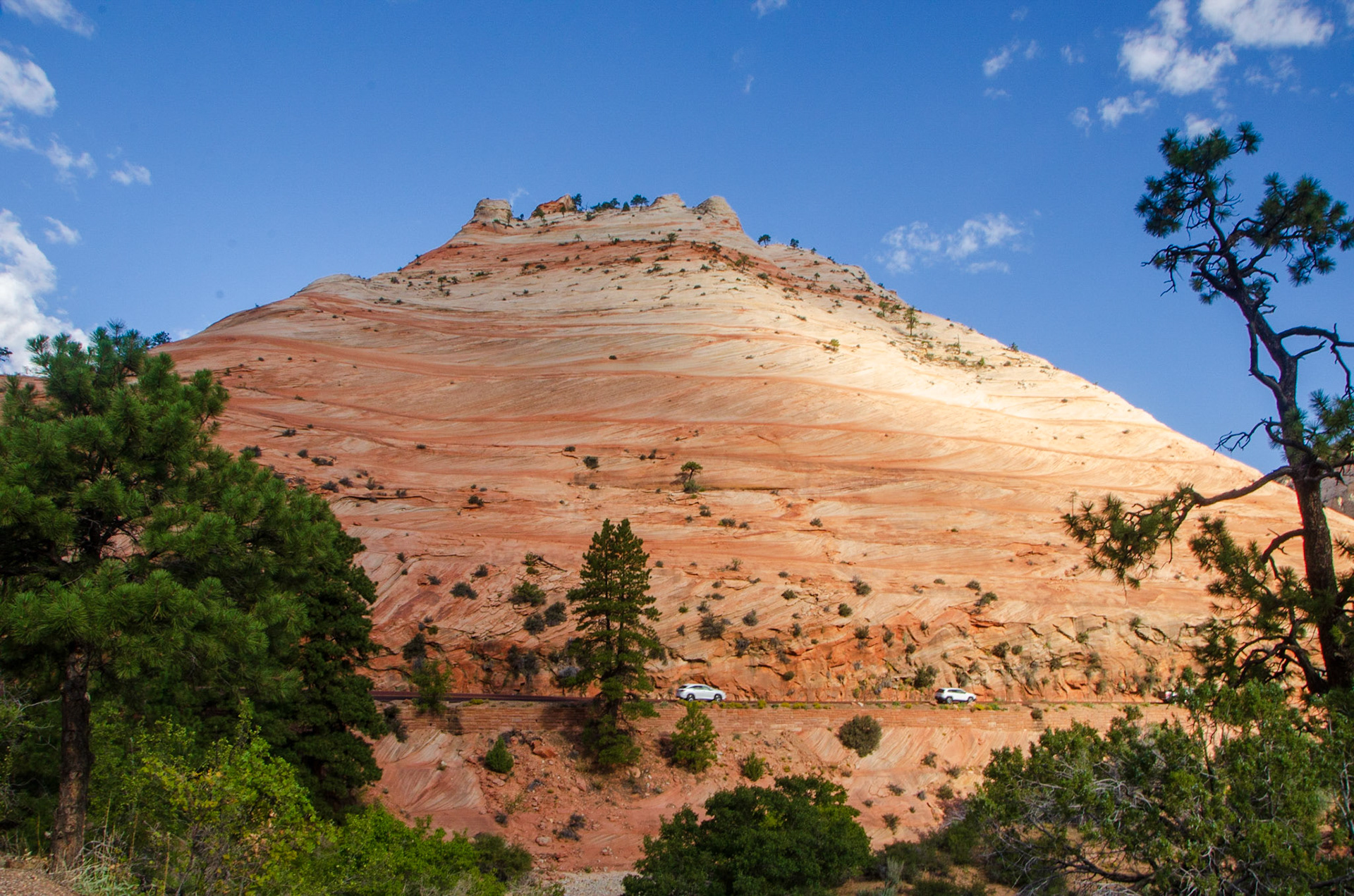 Zion National Park