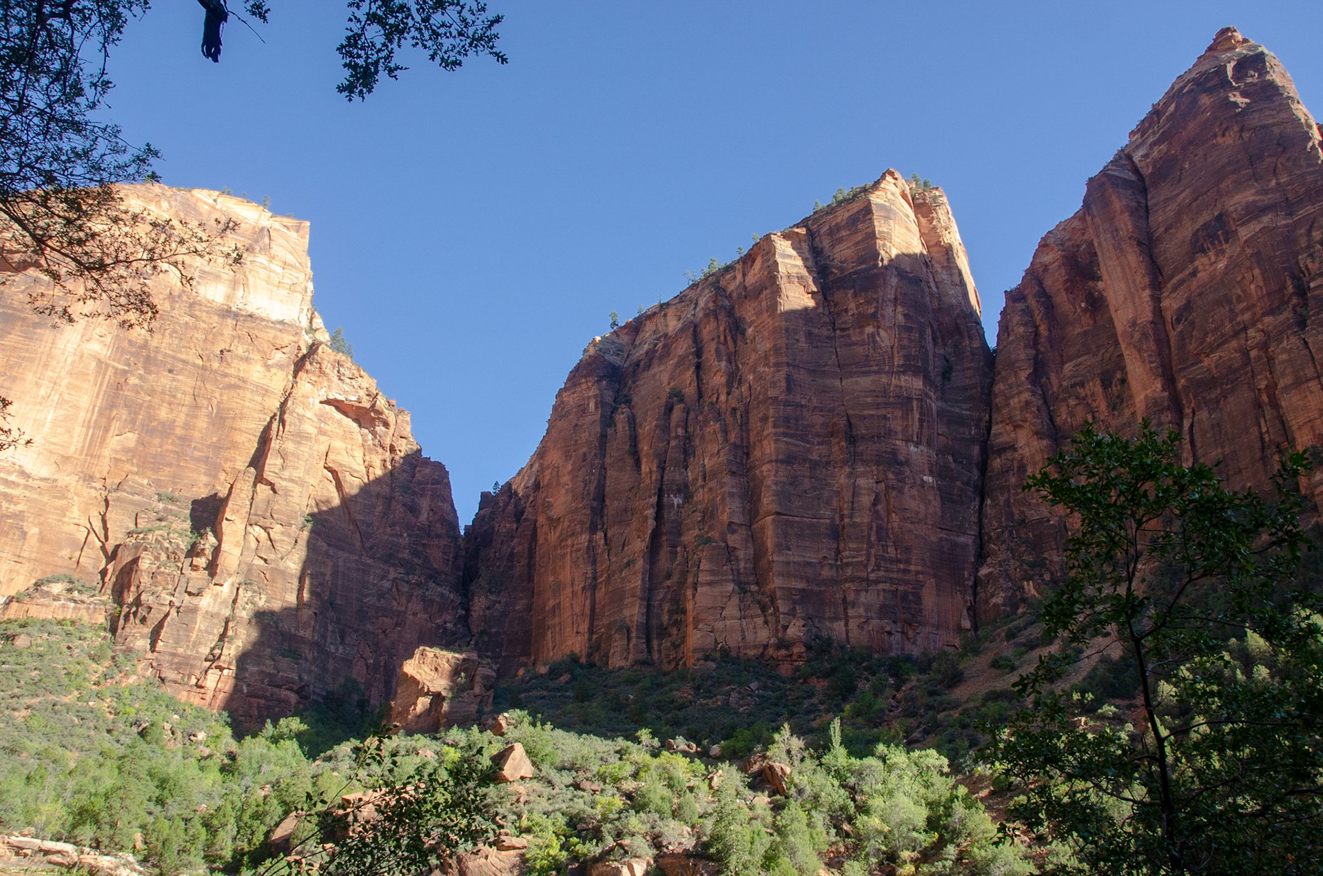 Zion National Park