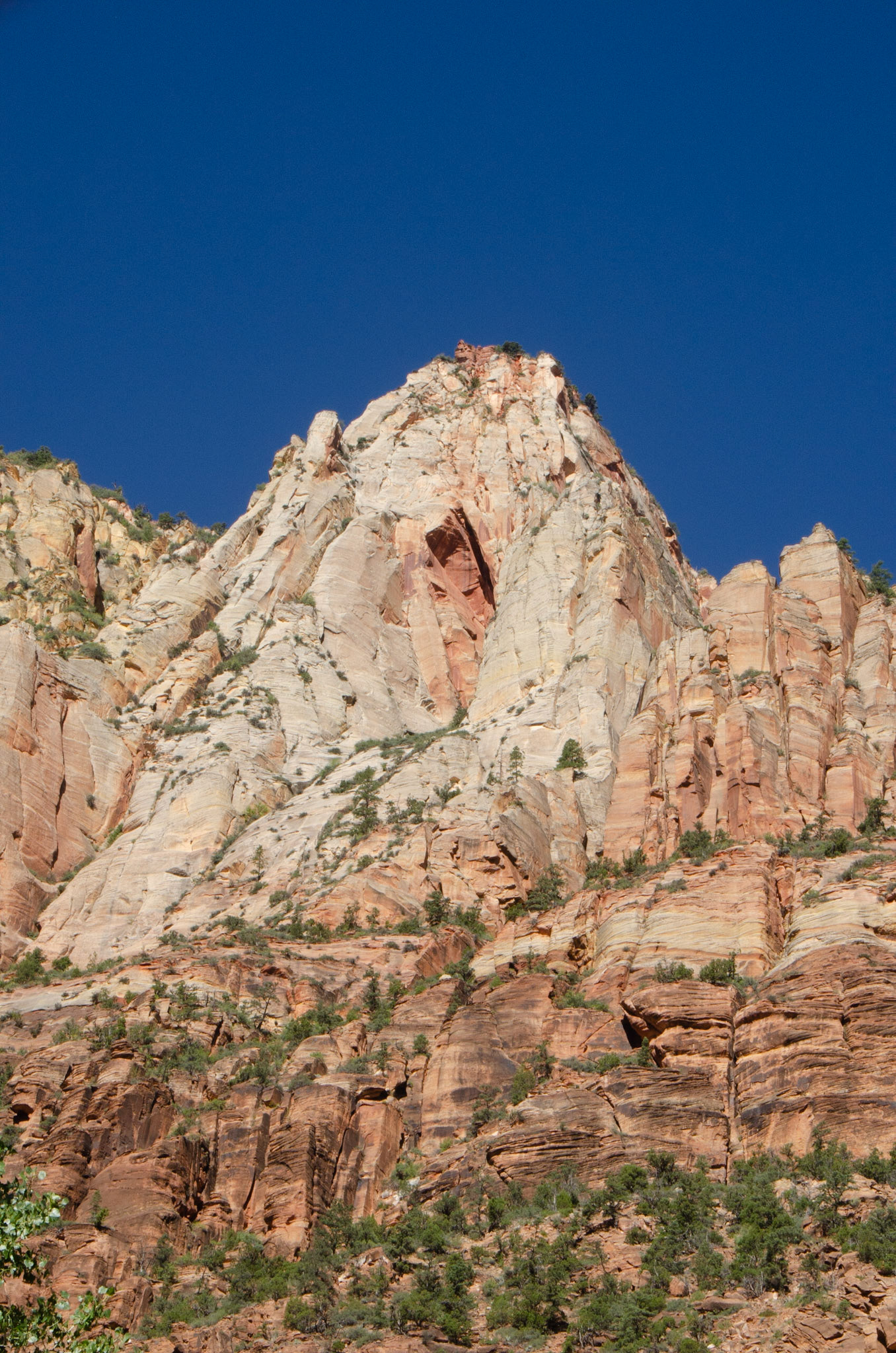 Zion National Park