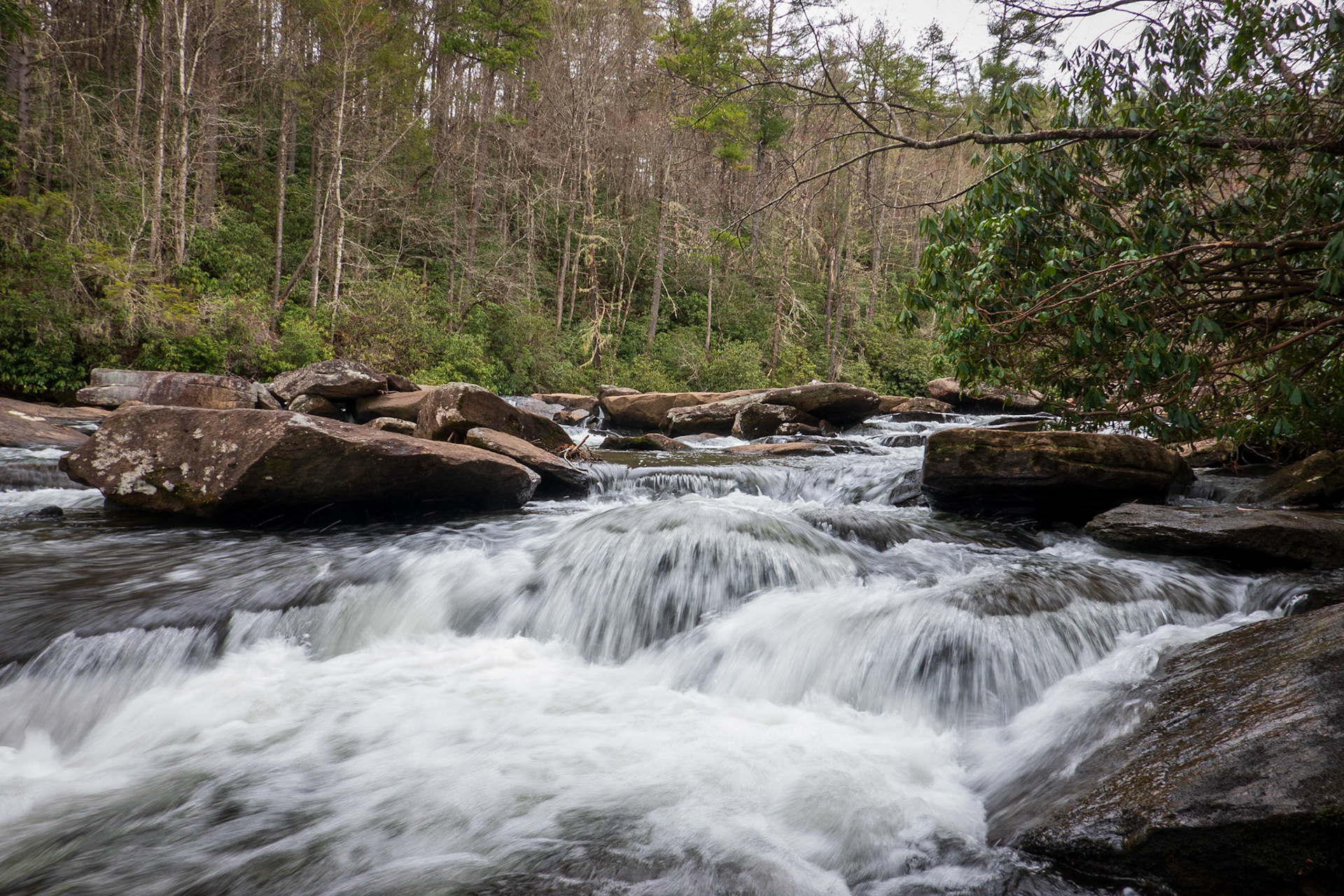 Dupont State Park NC
