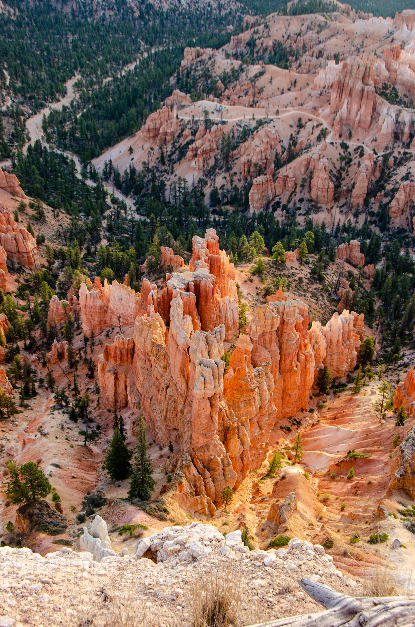 Bryce National Park