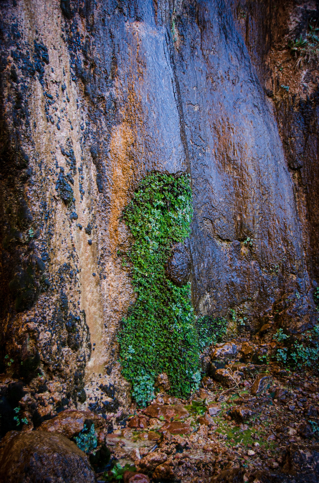 Zion National Park