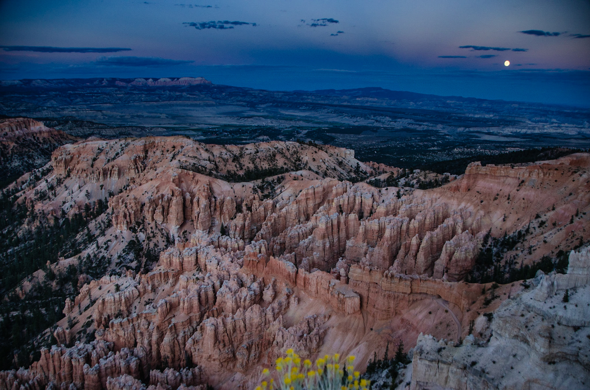 Bryce National Park