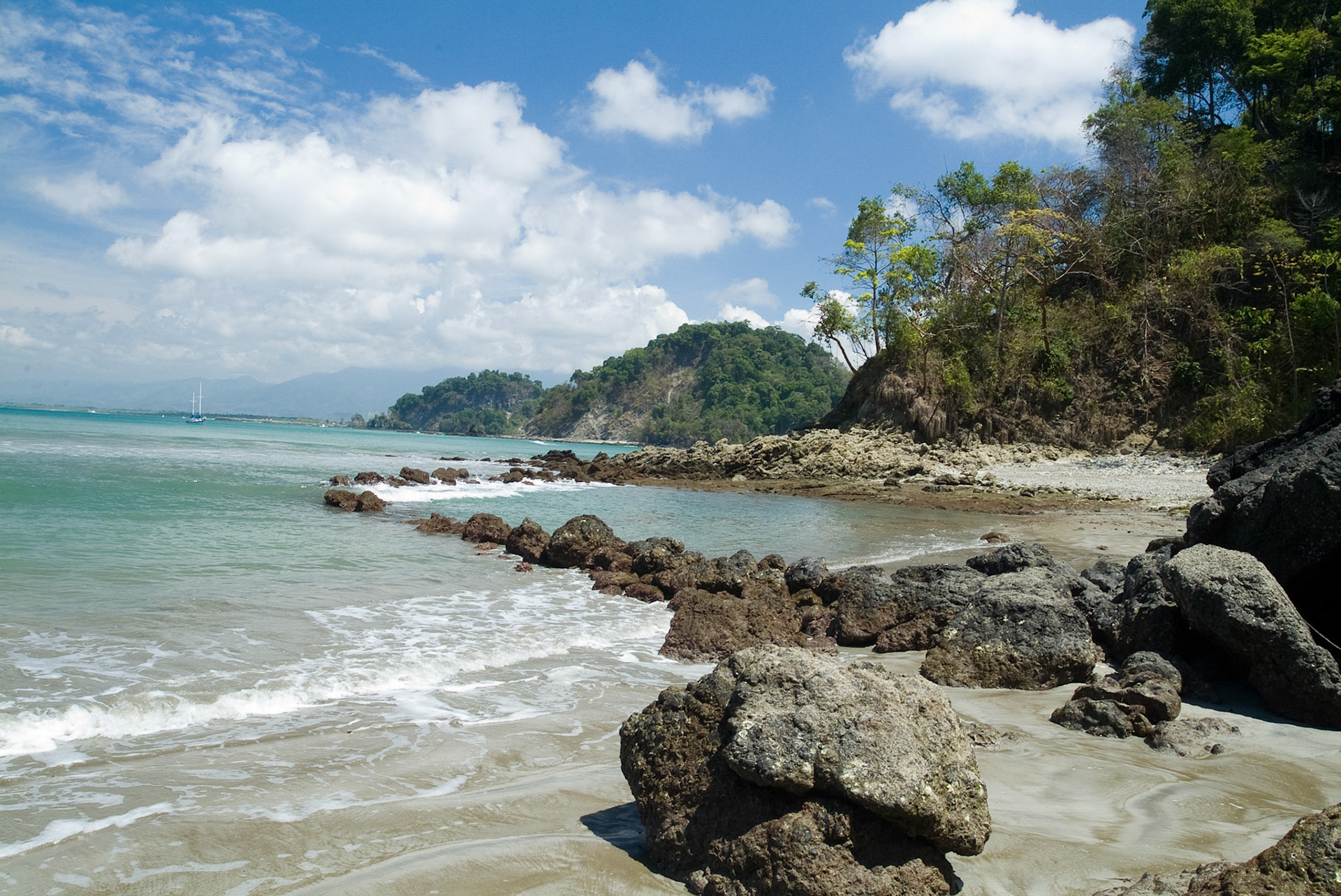 Pre Colombian Turtal Trap