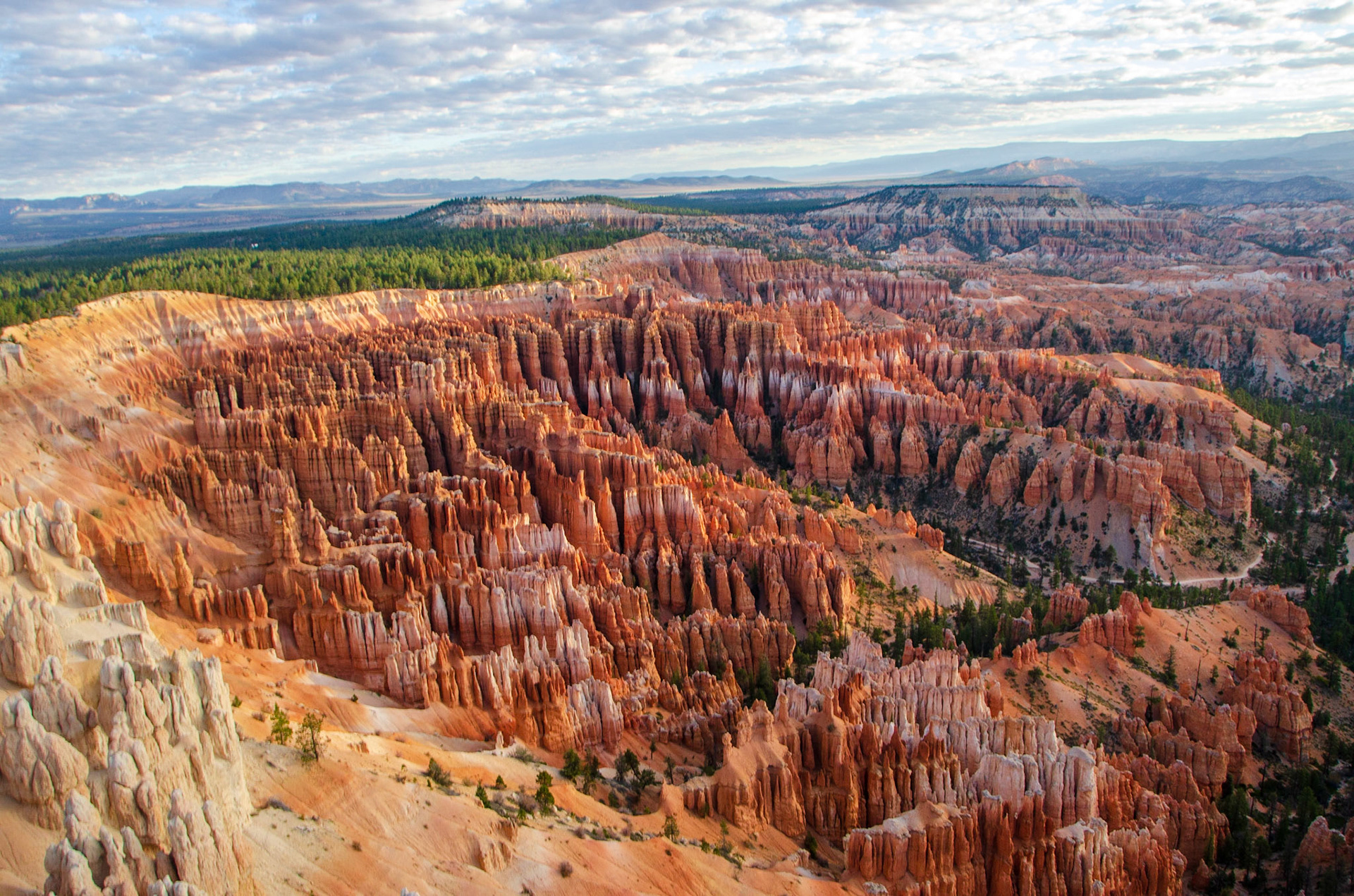 Bryce National Park