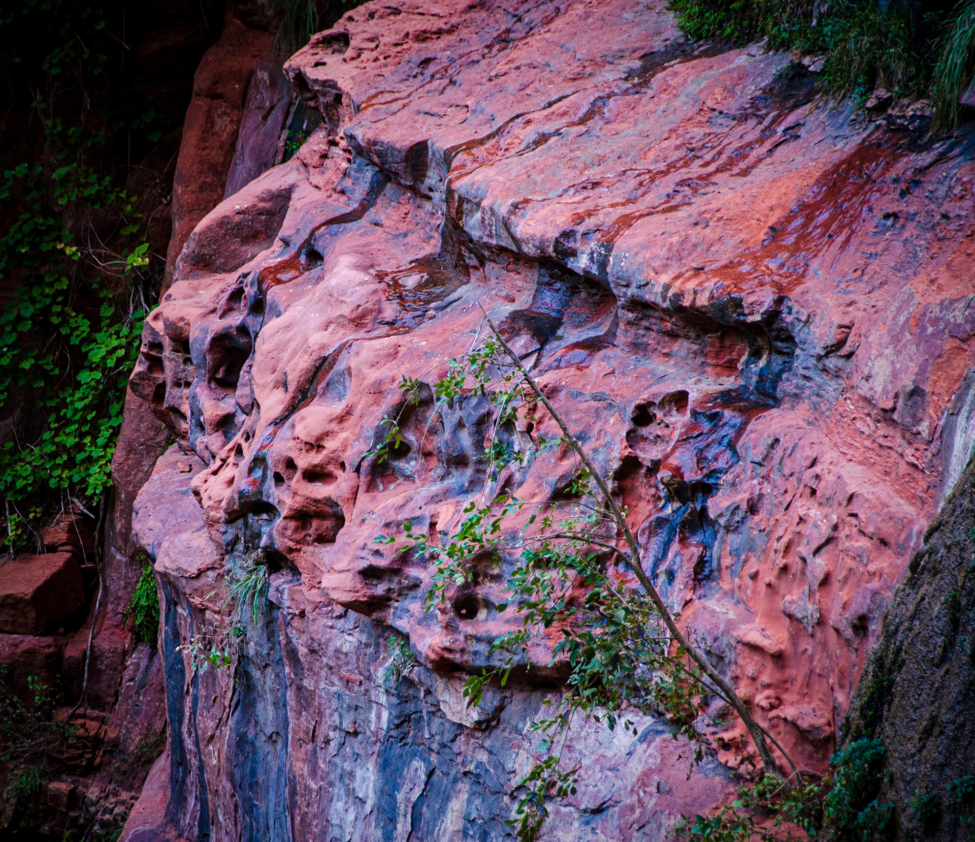 Zion National Park