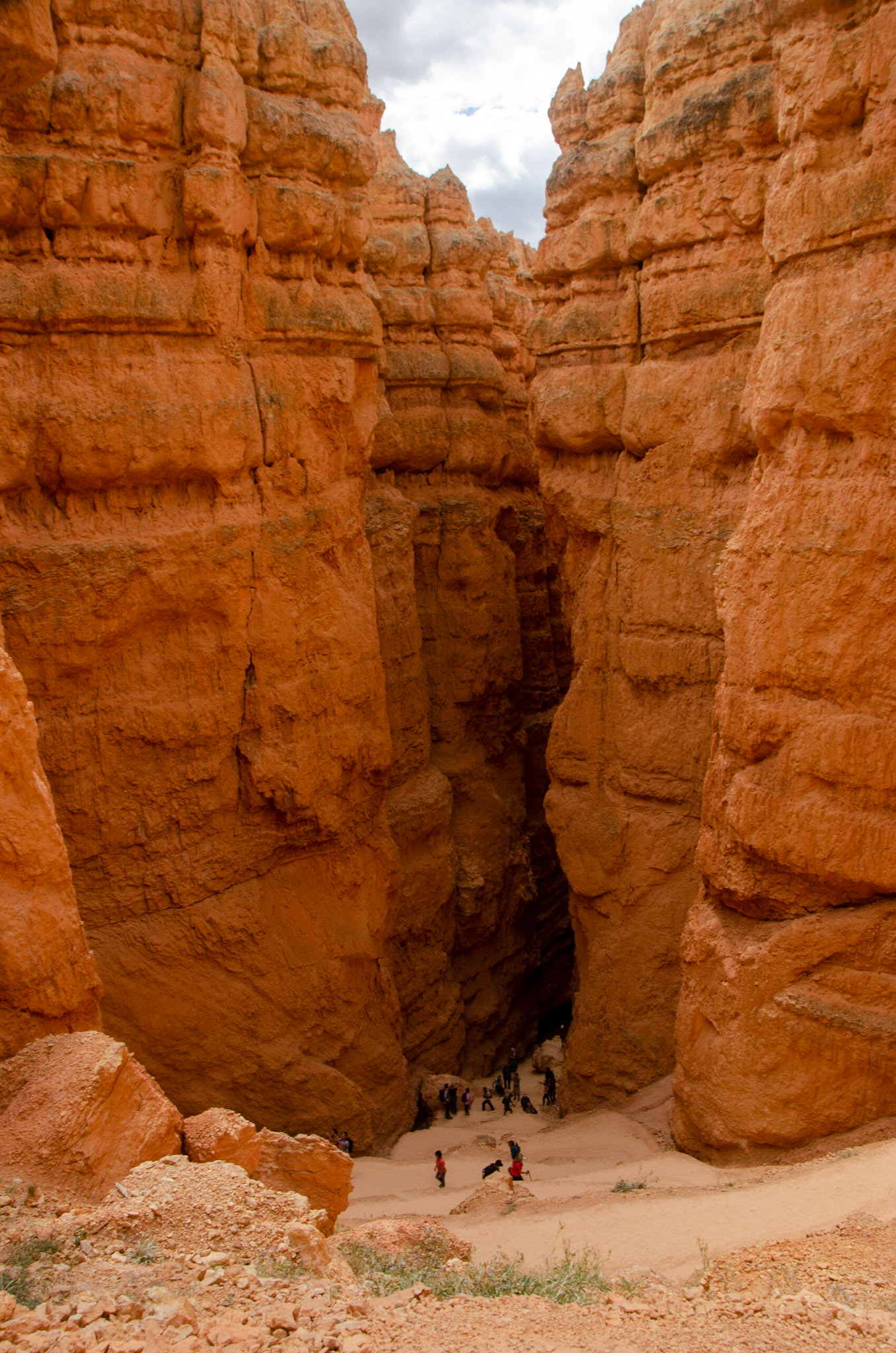 Bryce National Park