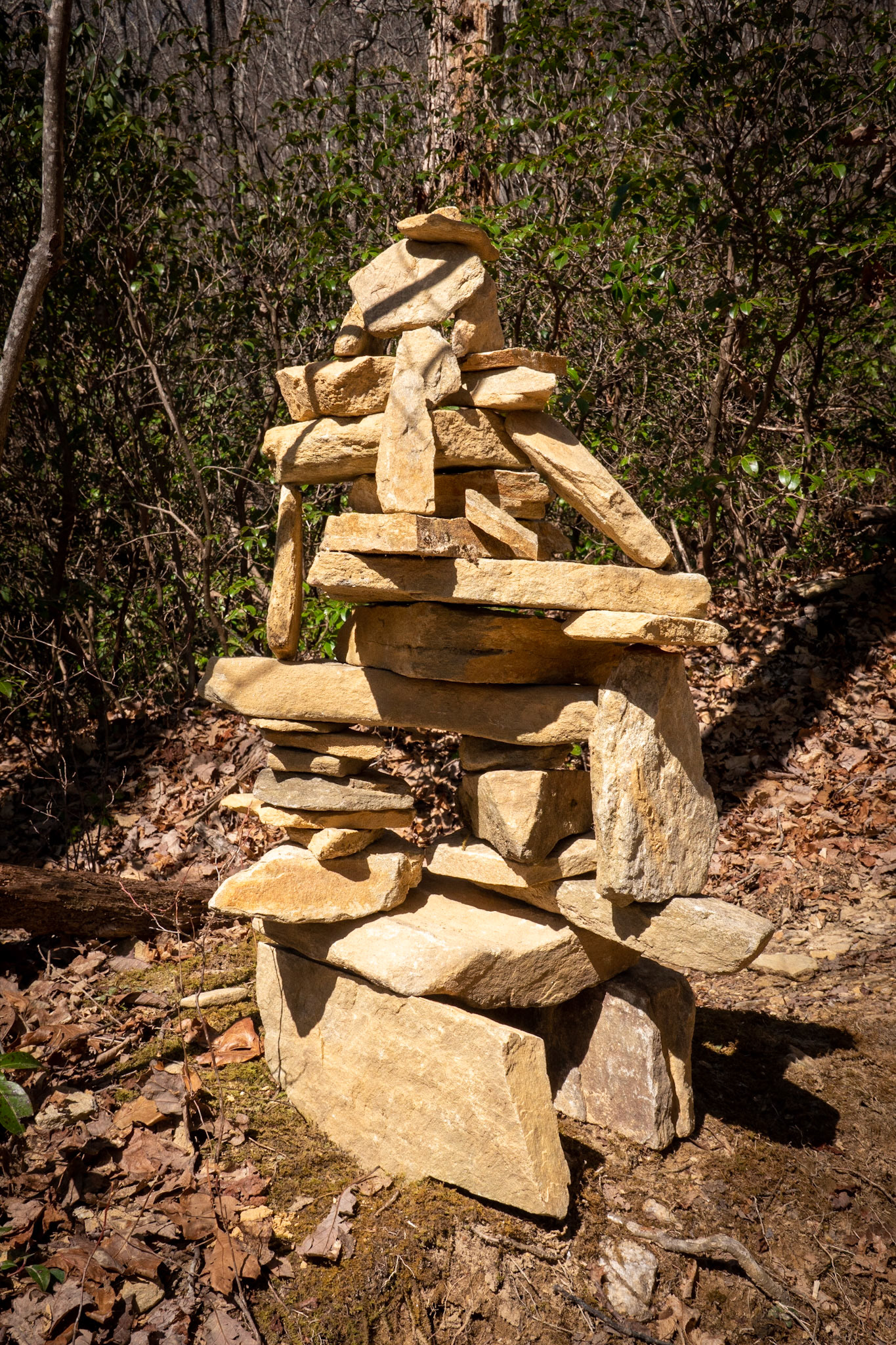 Ceaser Mountian State Park South Carolina