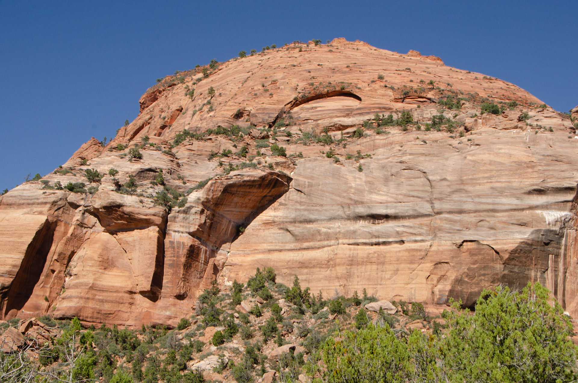 Zion National Park