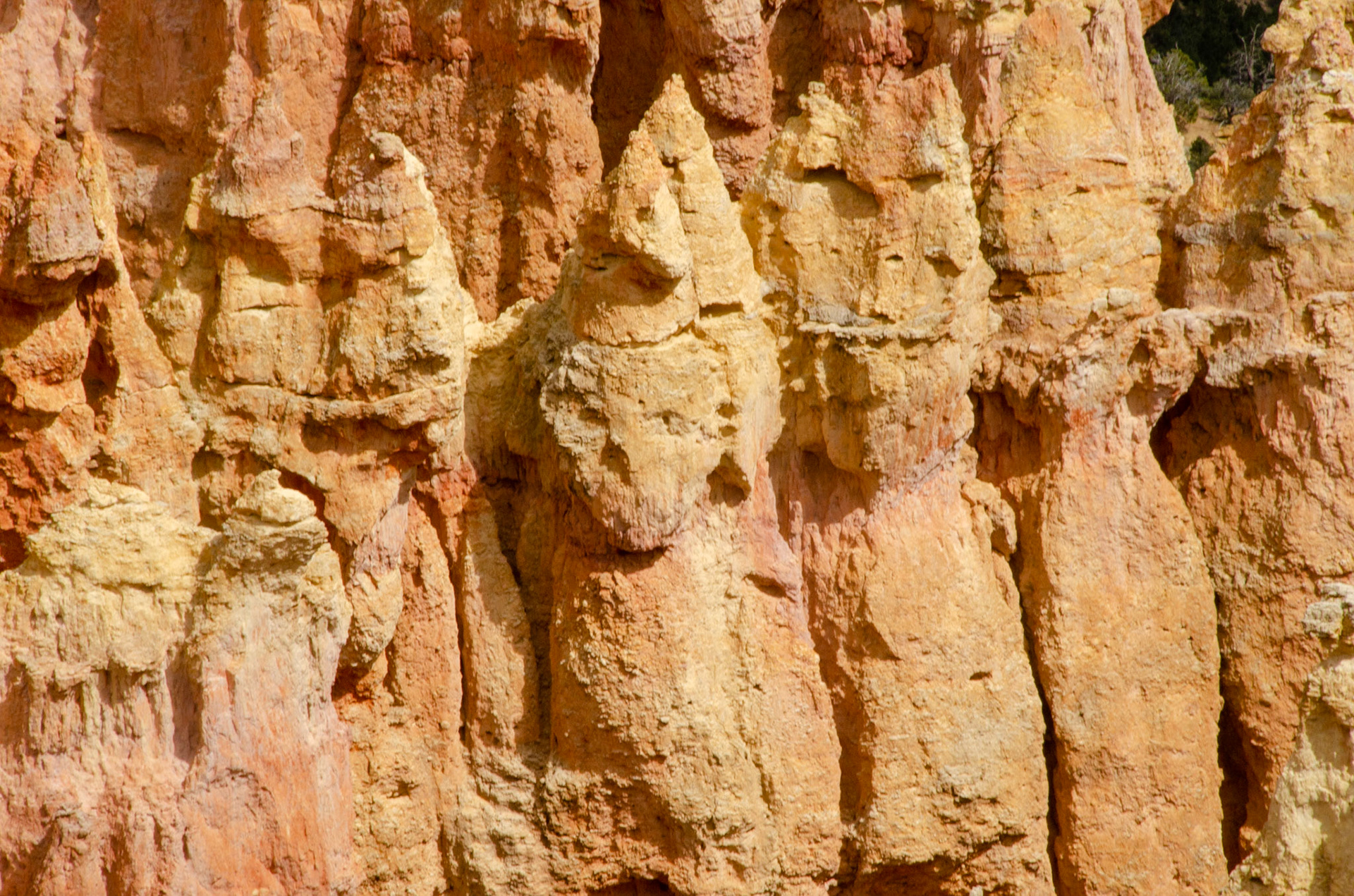 Bryce National Park