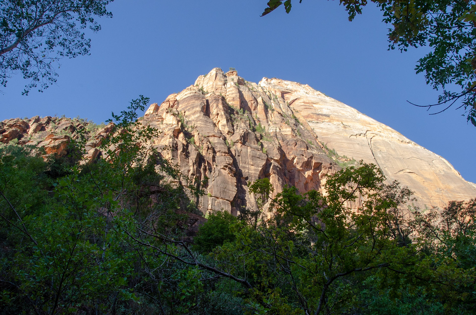 Zion National Park