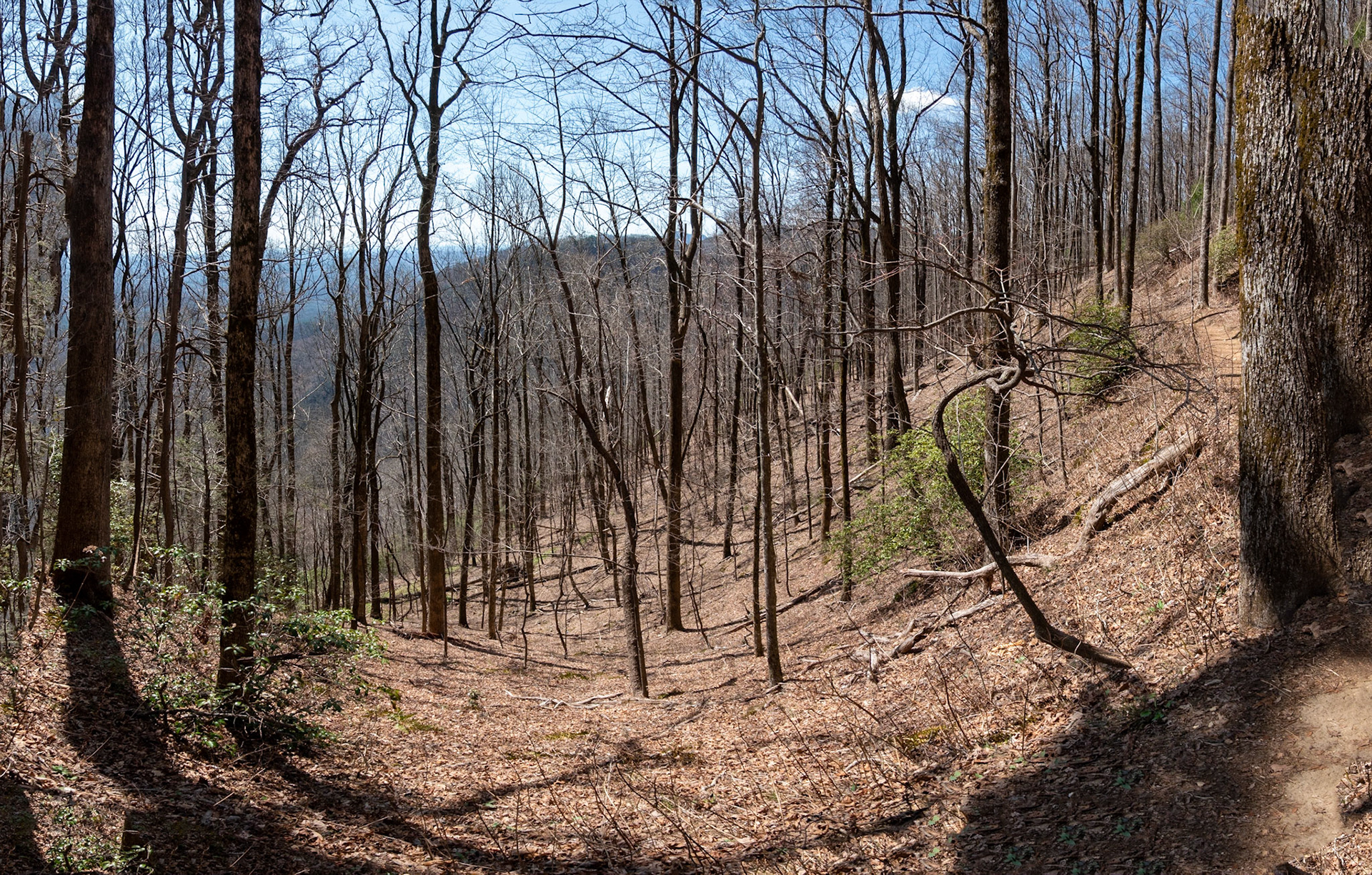 Caesars Mountian State Park South Carolina