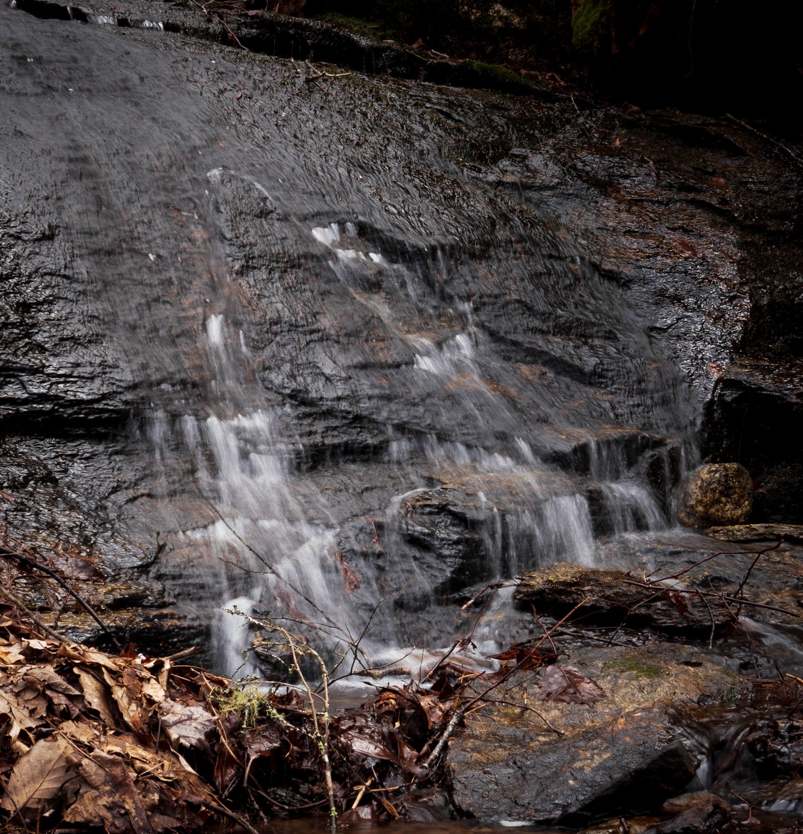 Sherwood Forest, NC