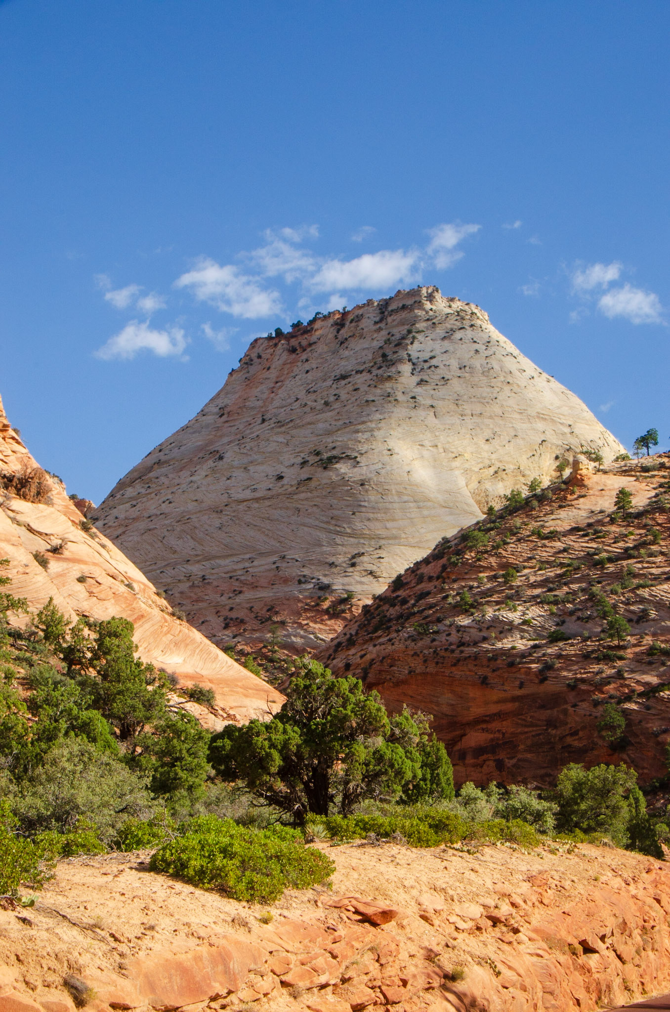 Zion National Park