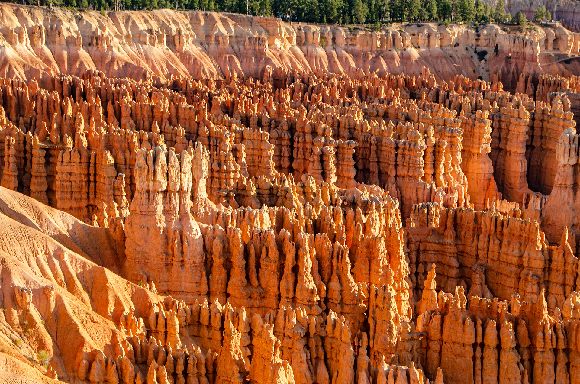 Bryce National Park