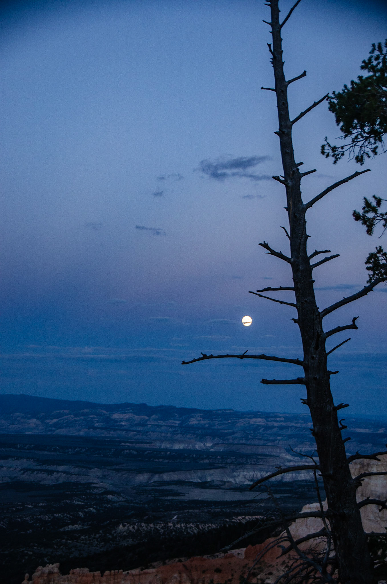 Bryce National Park