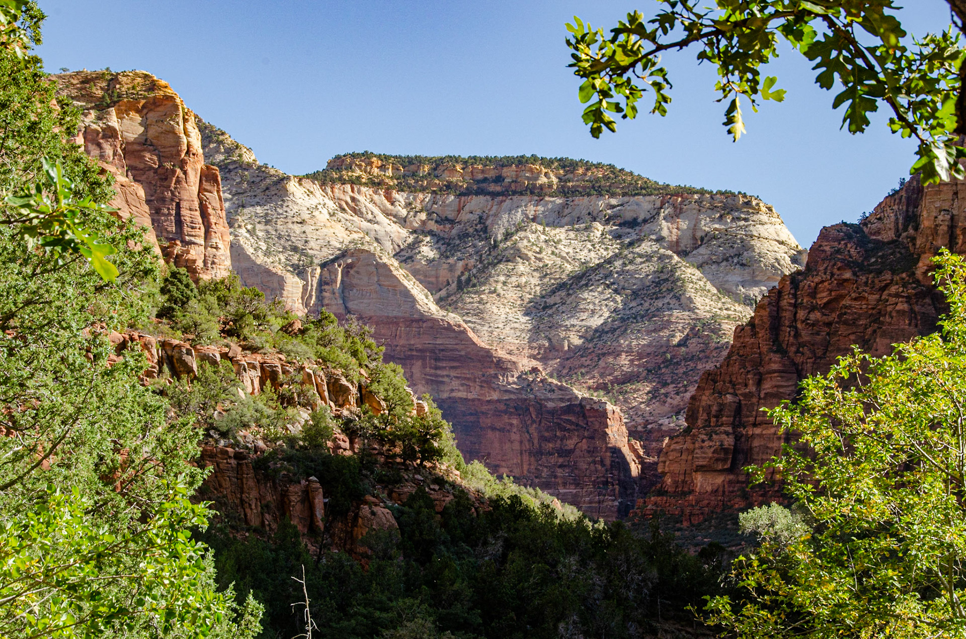 Zion National Park
