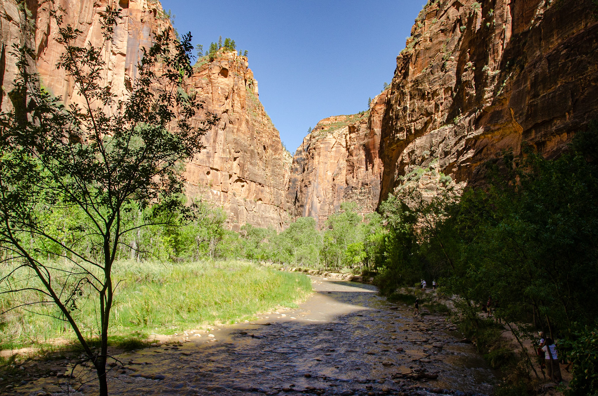 Zion National Park