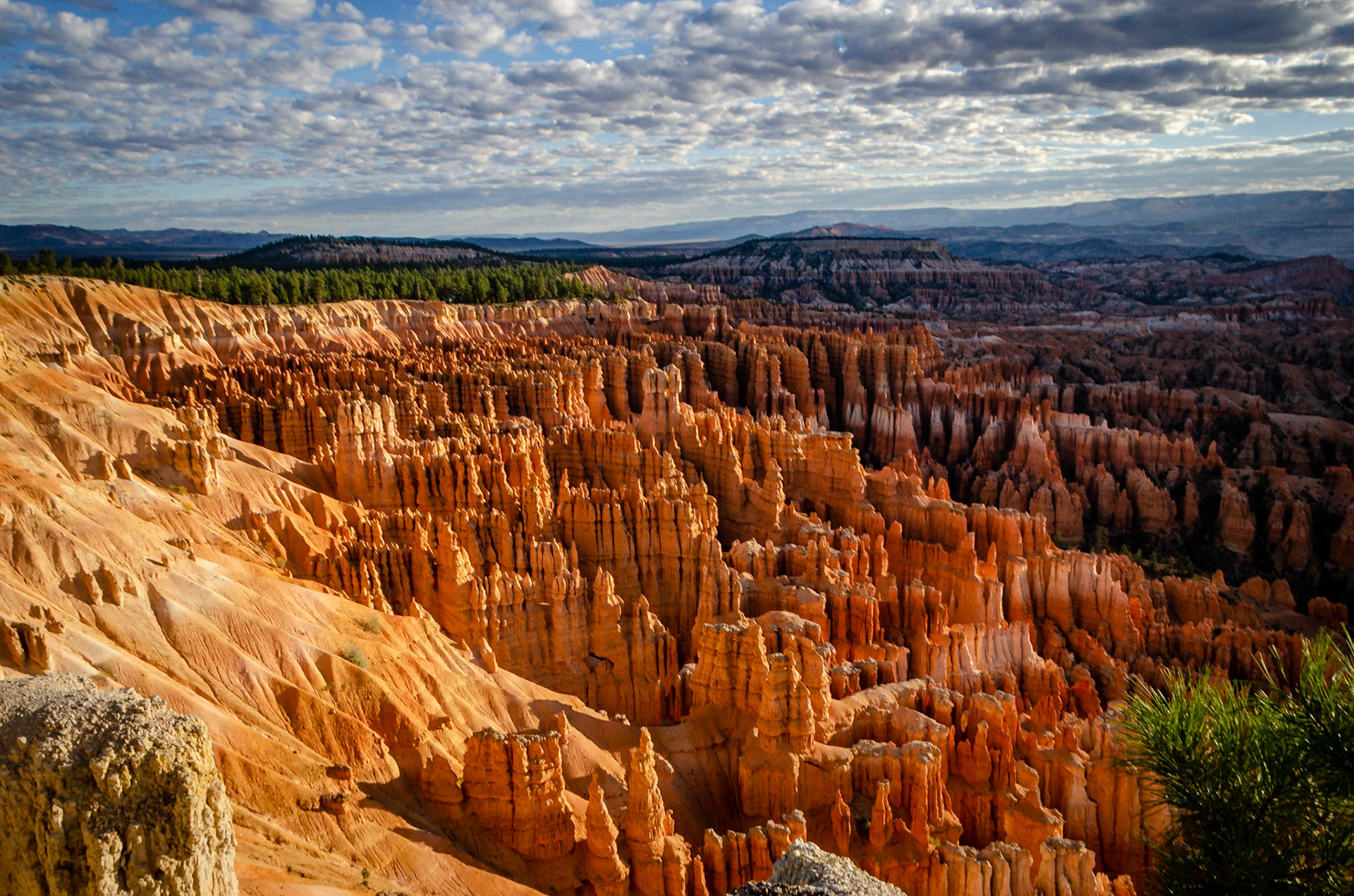 Bryce National Park
