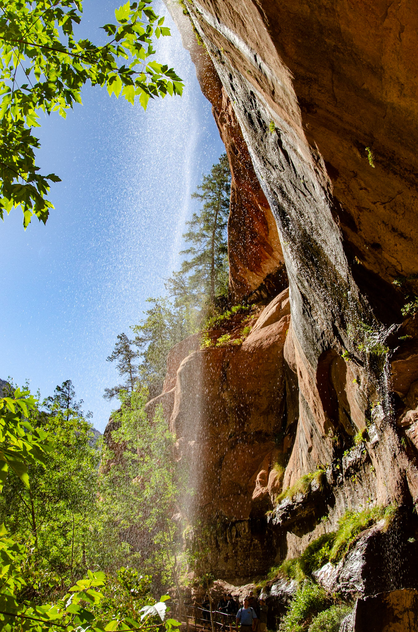 Zion National Park
