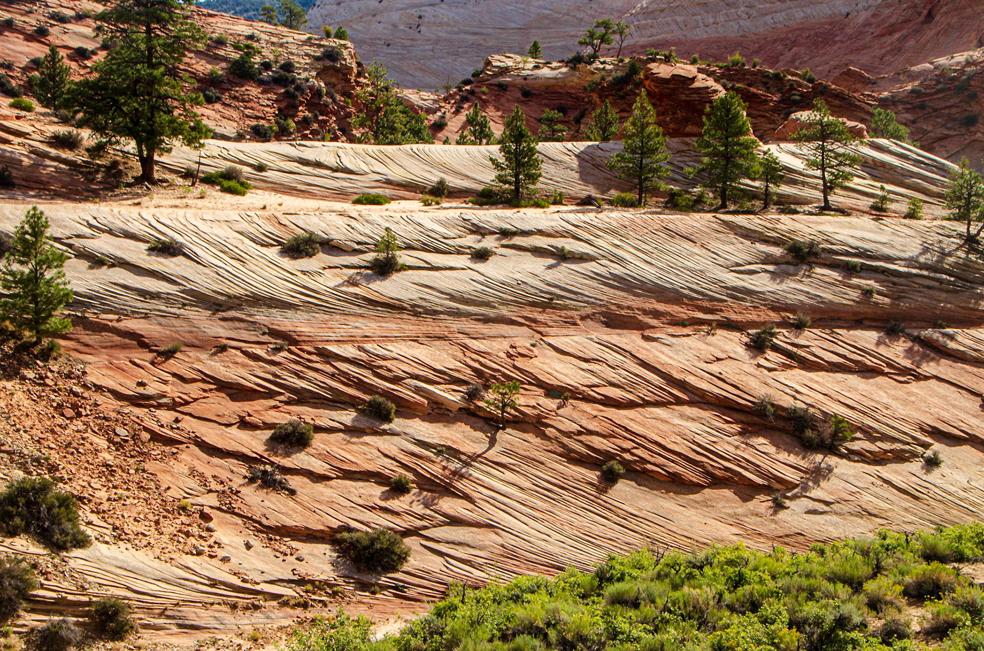 Zion National Park