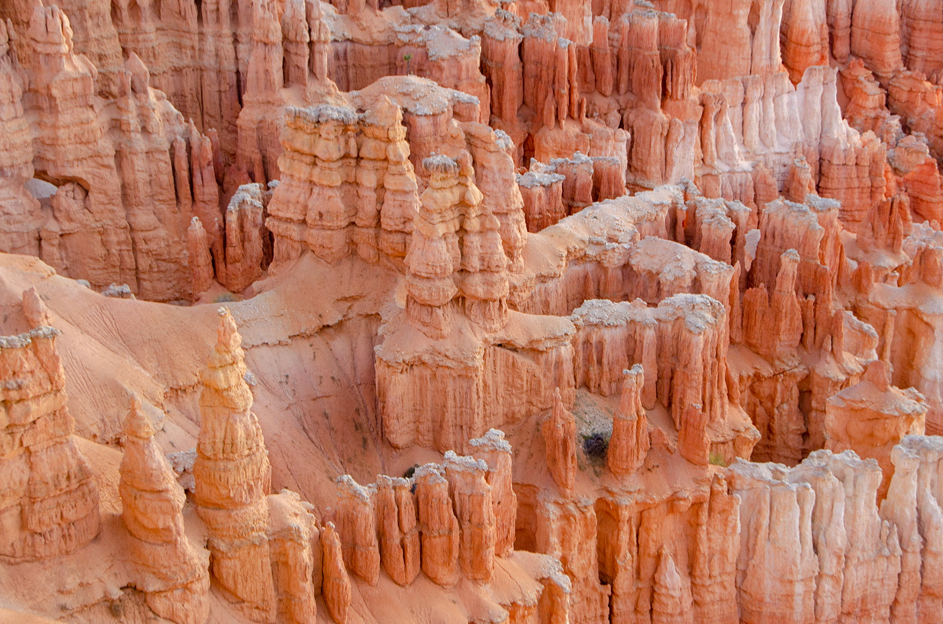 Bryce National Park