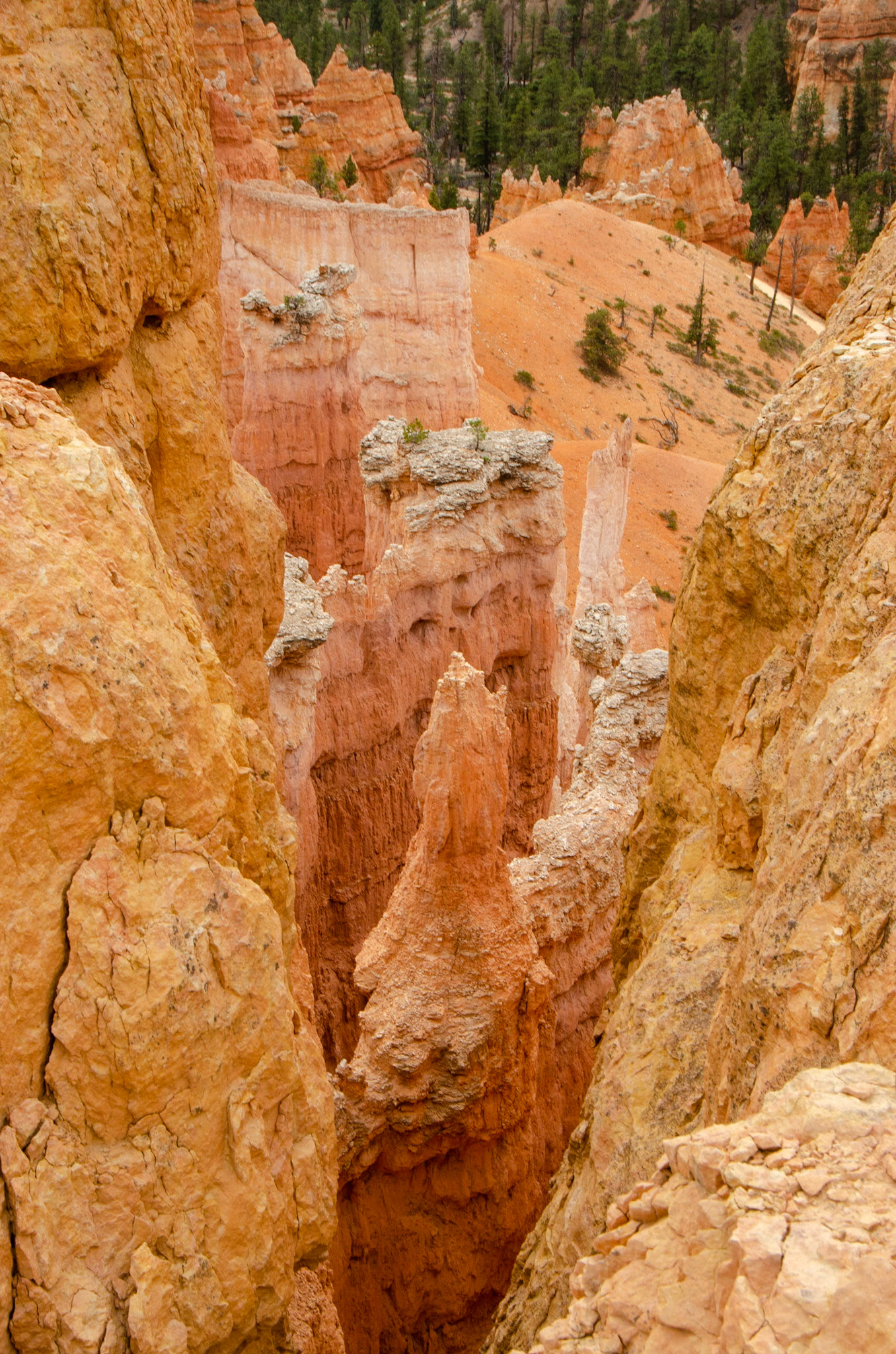 Bryce National Park