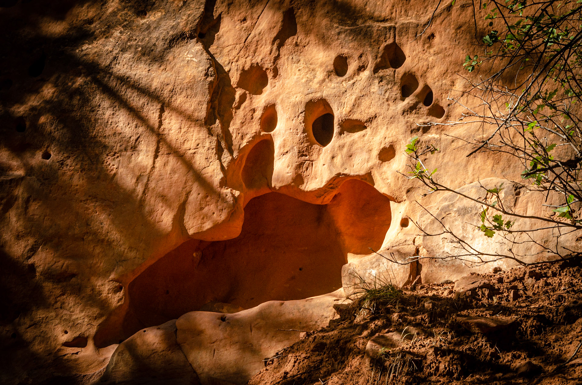 Zion National Park