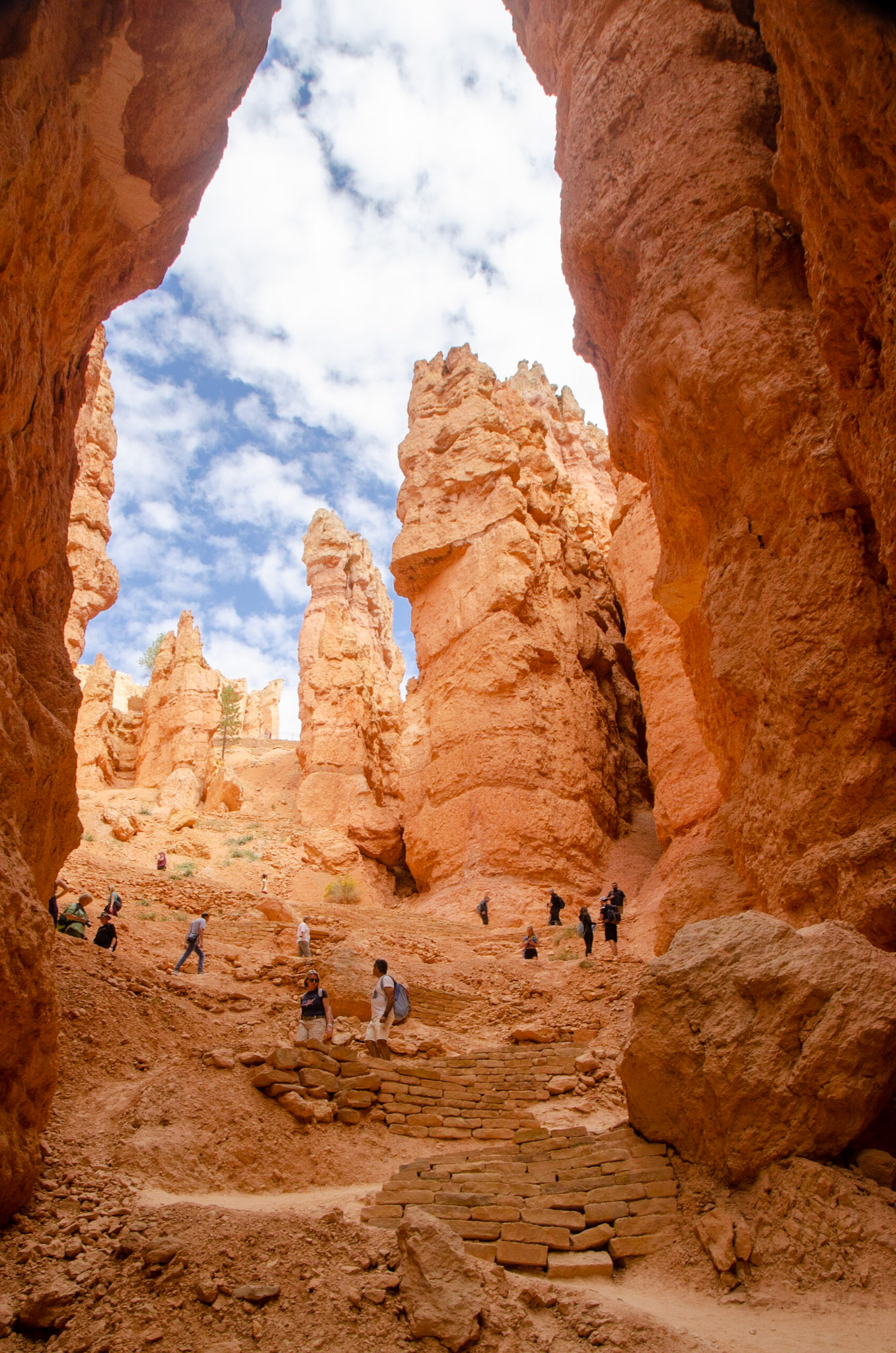 Bryce National Park