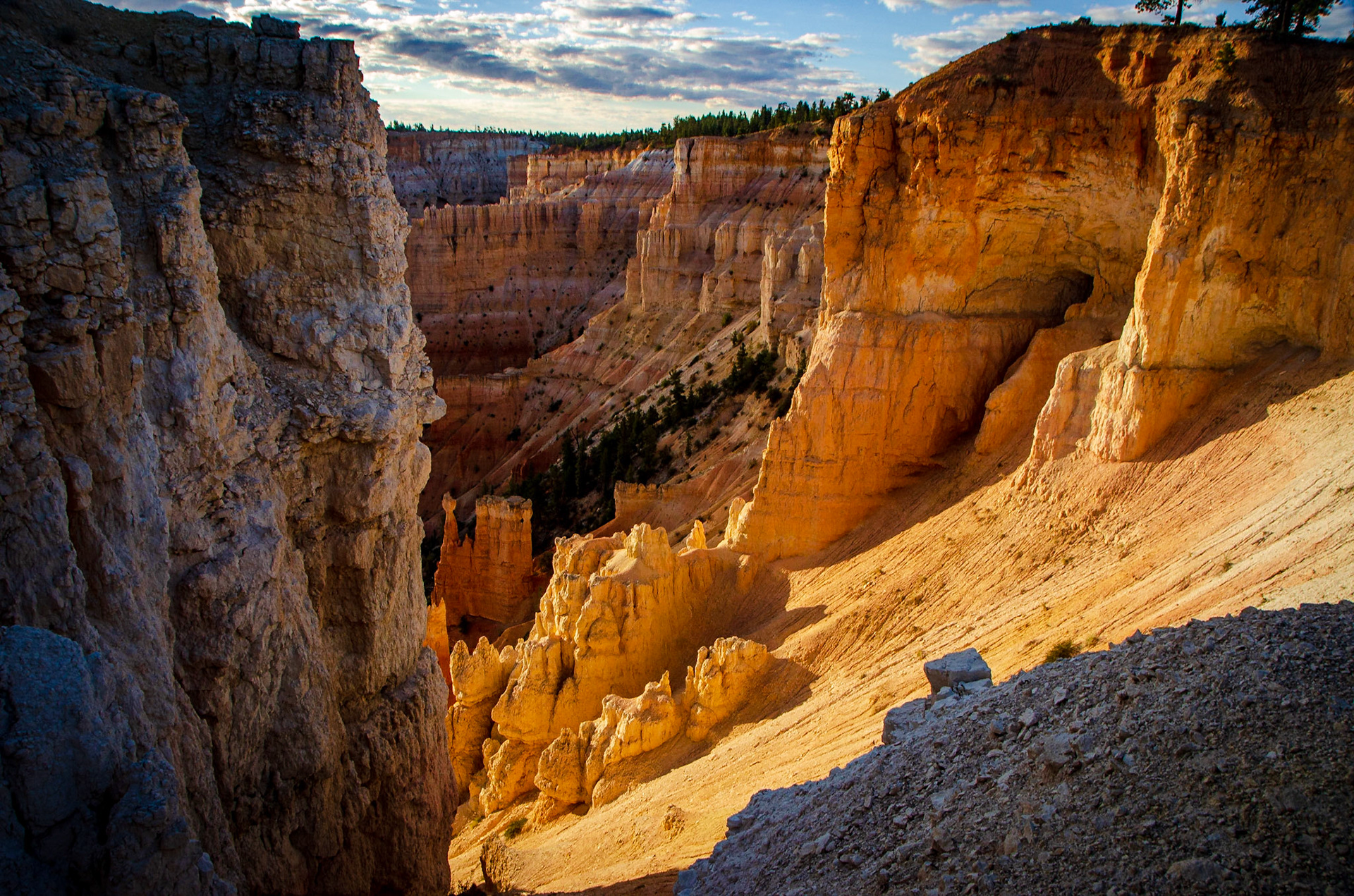 Bryce National Park