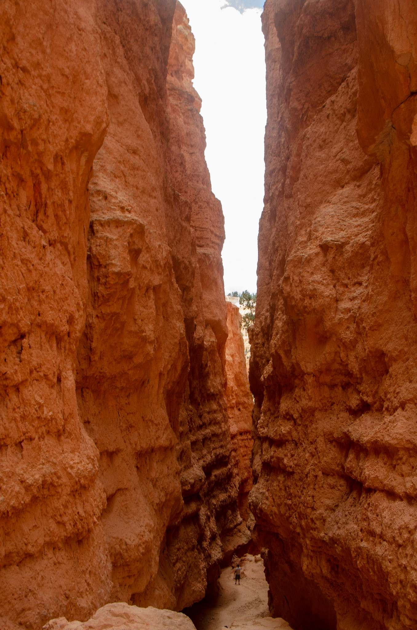 Bryce National Park