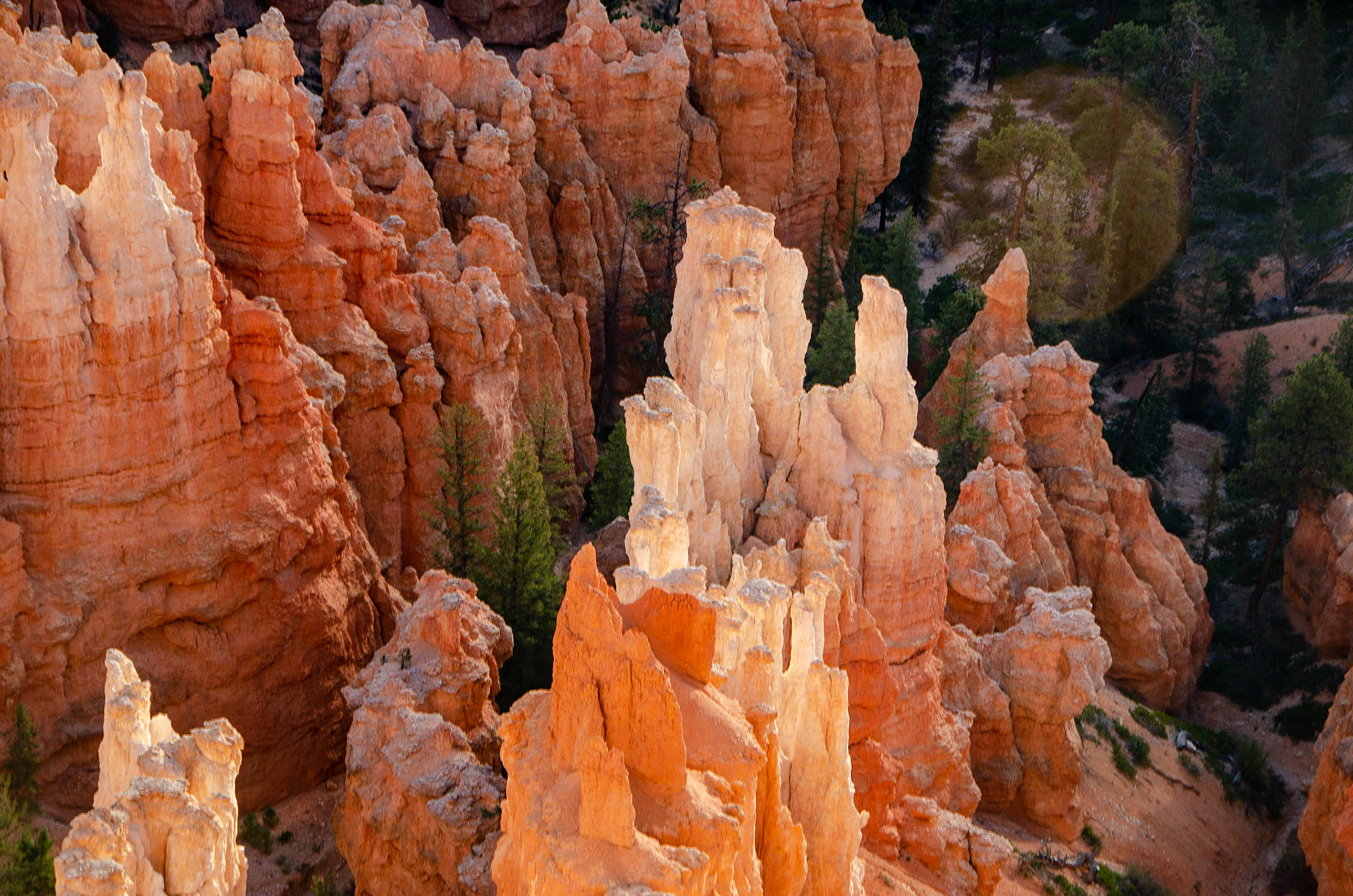 Bryce National Park