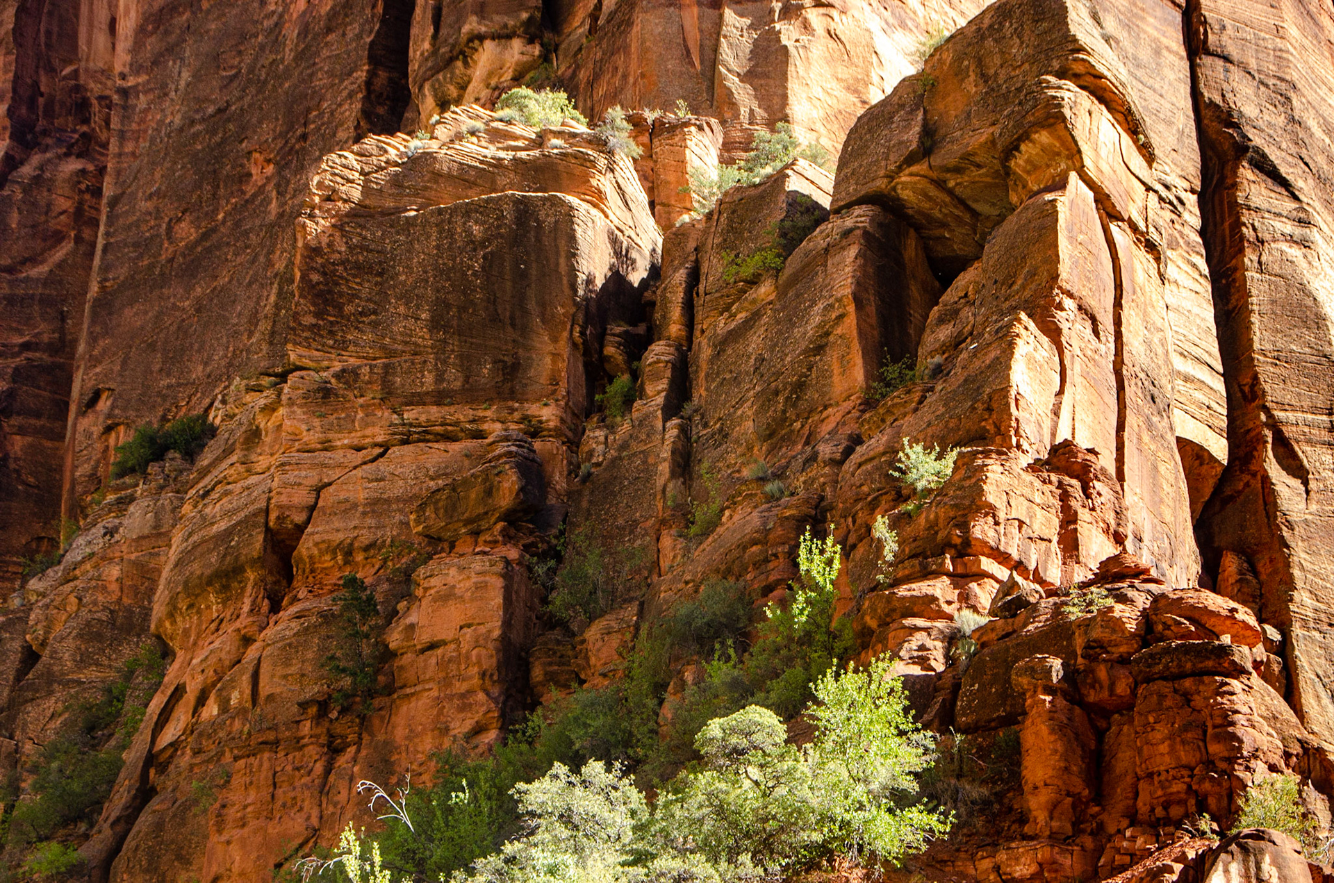 Zion National Park