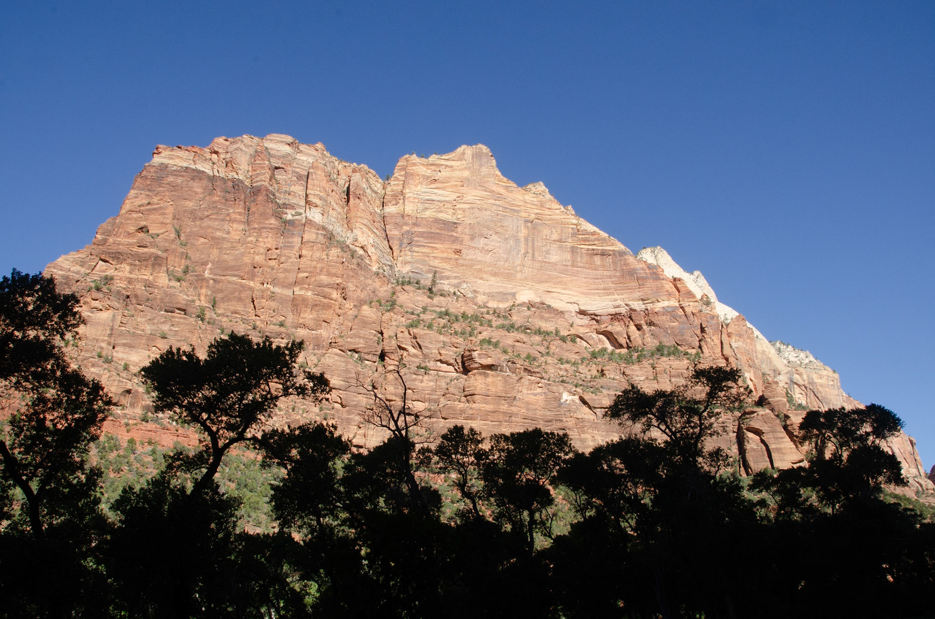 Zion National Park