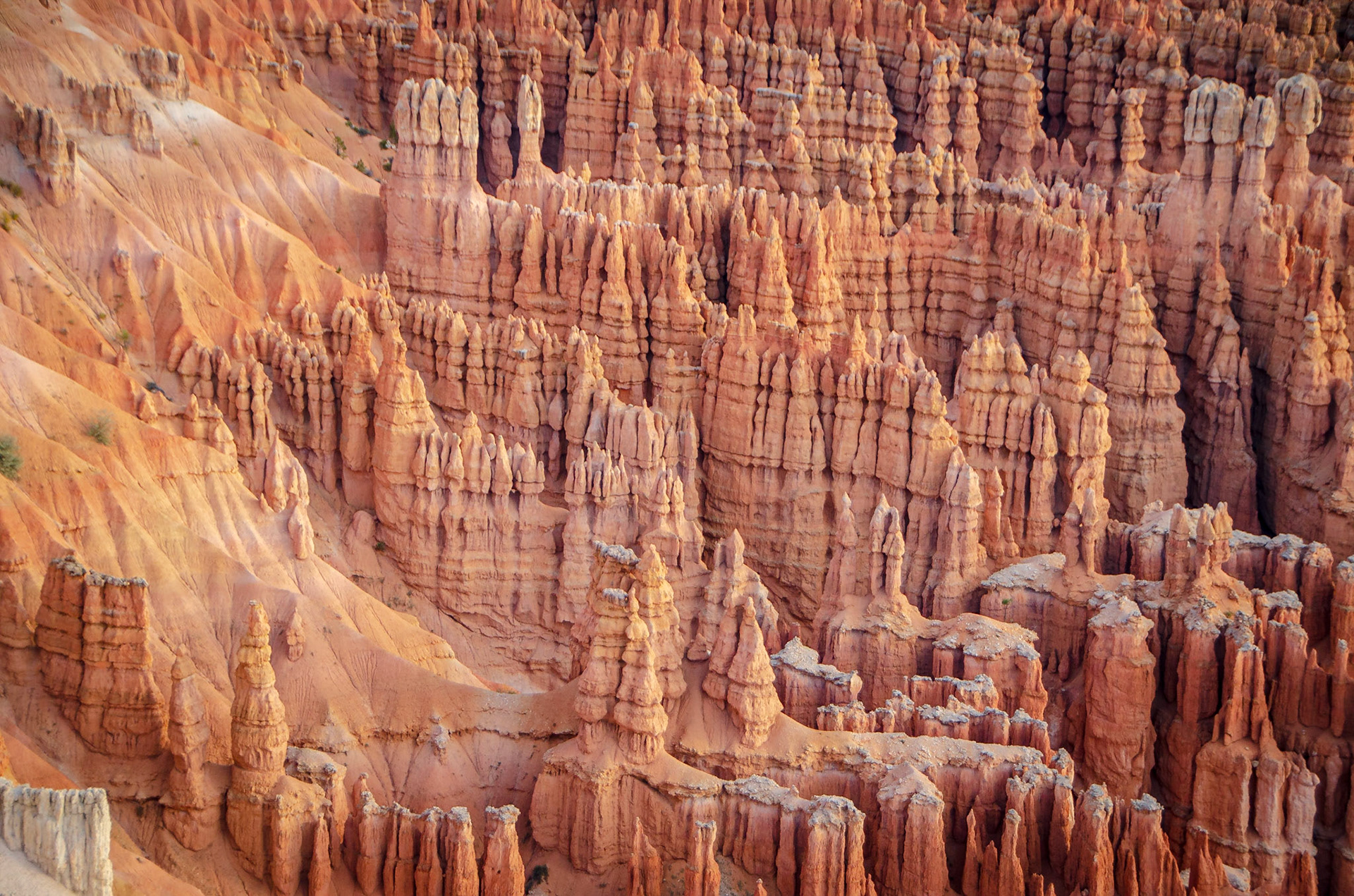 Bryce National Park