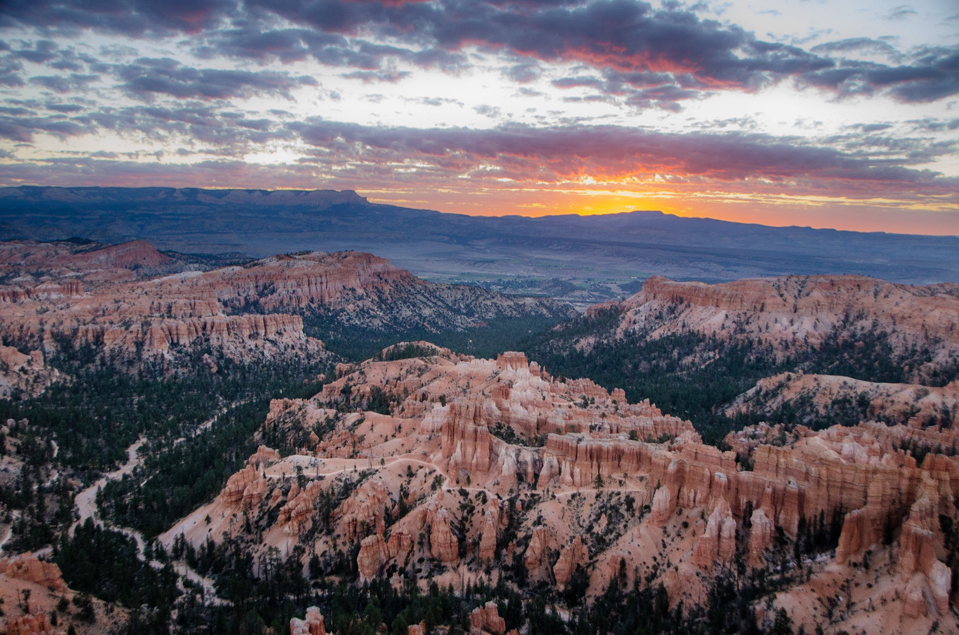 Bryce National Park