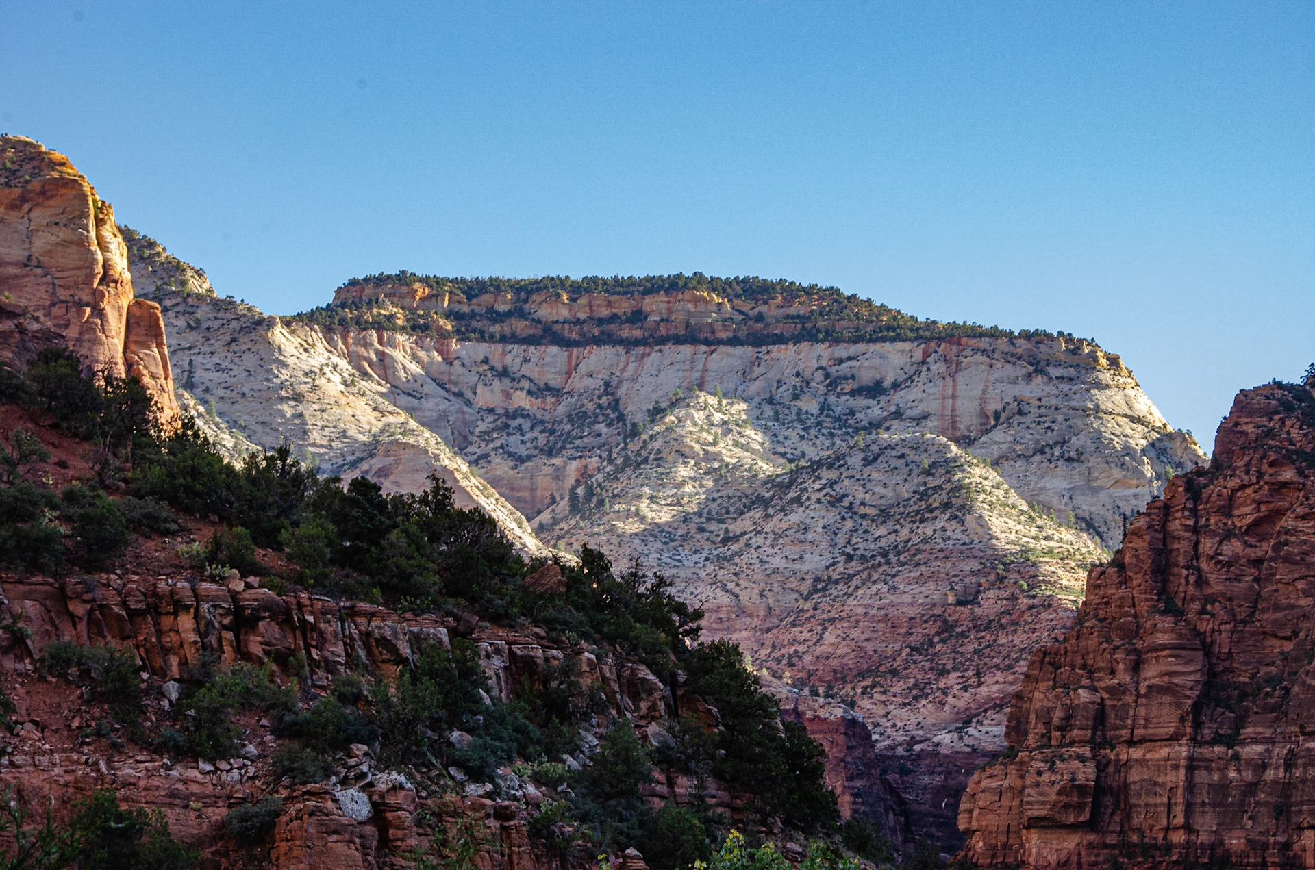 Zion National Park