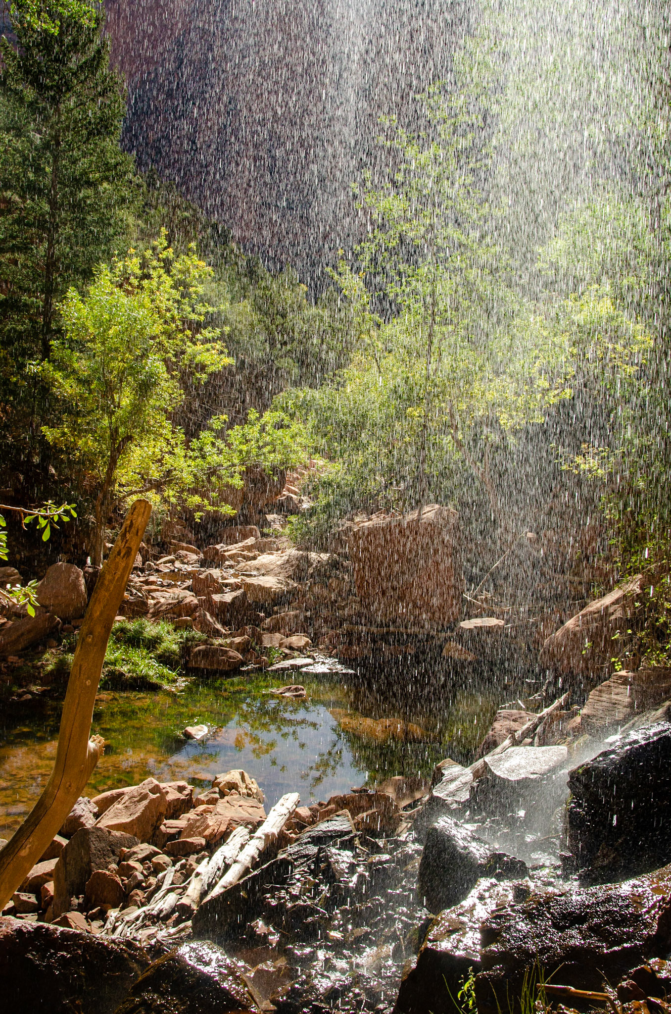 Zion National Park