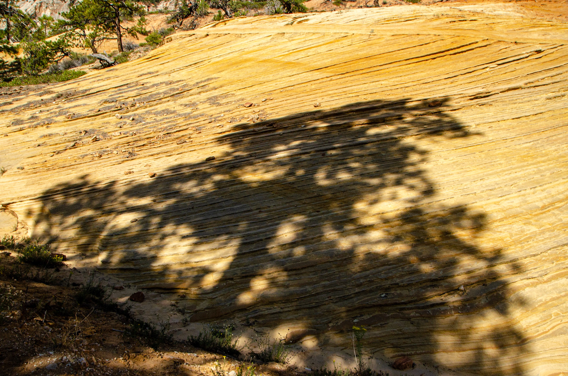 Zion National Park