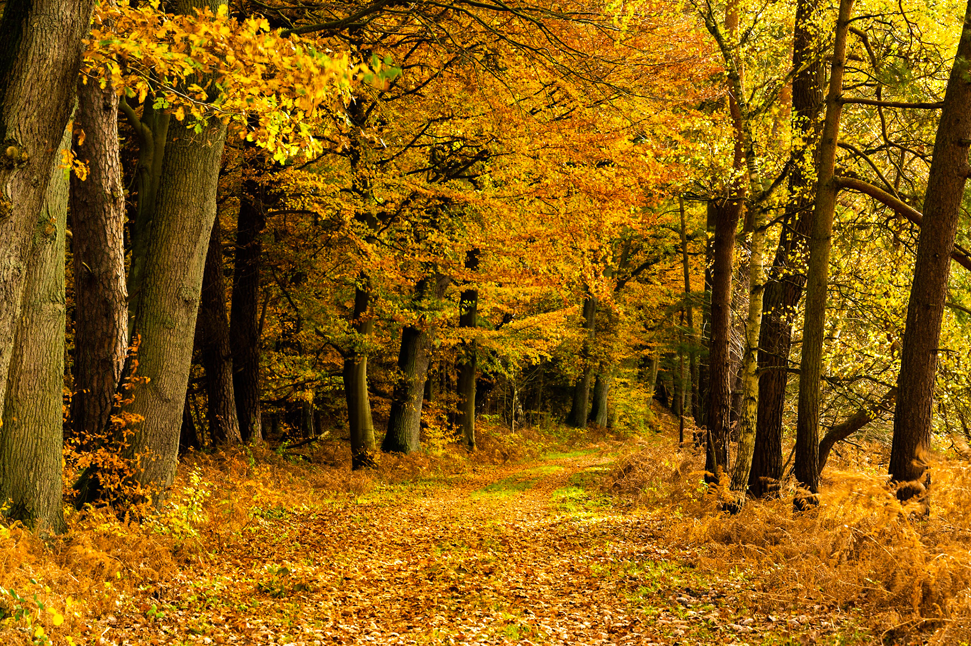 Hellbachtal
