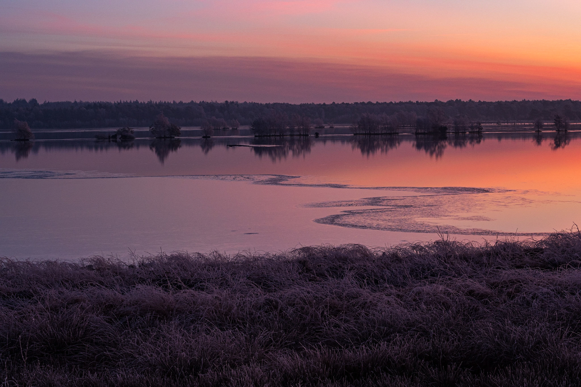 Tister Bauernmoor