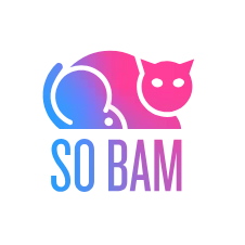 Agence So Bam
