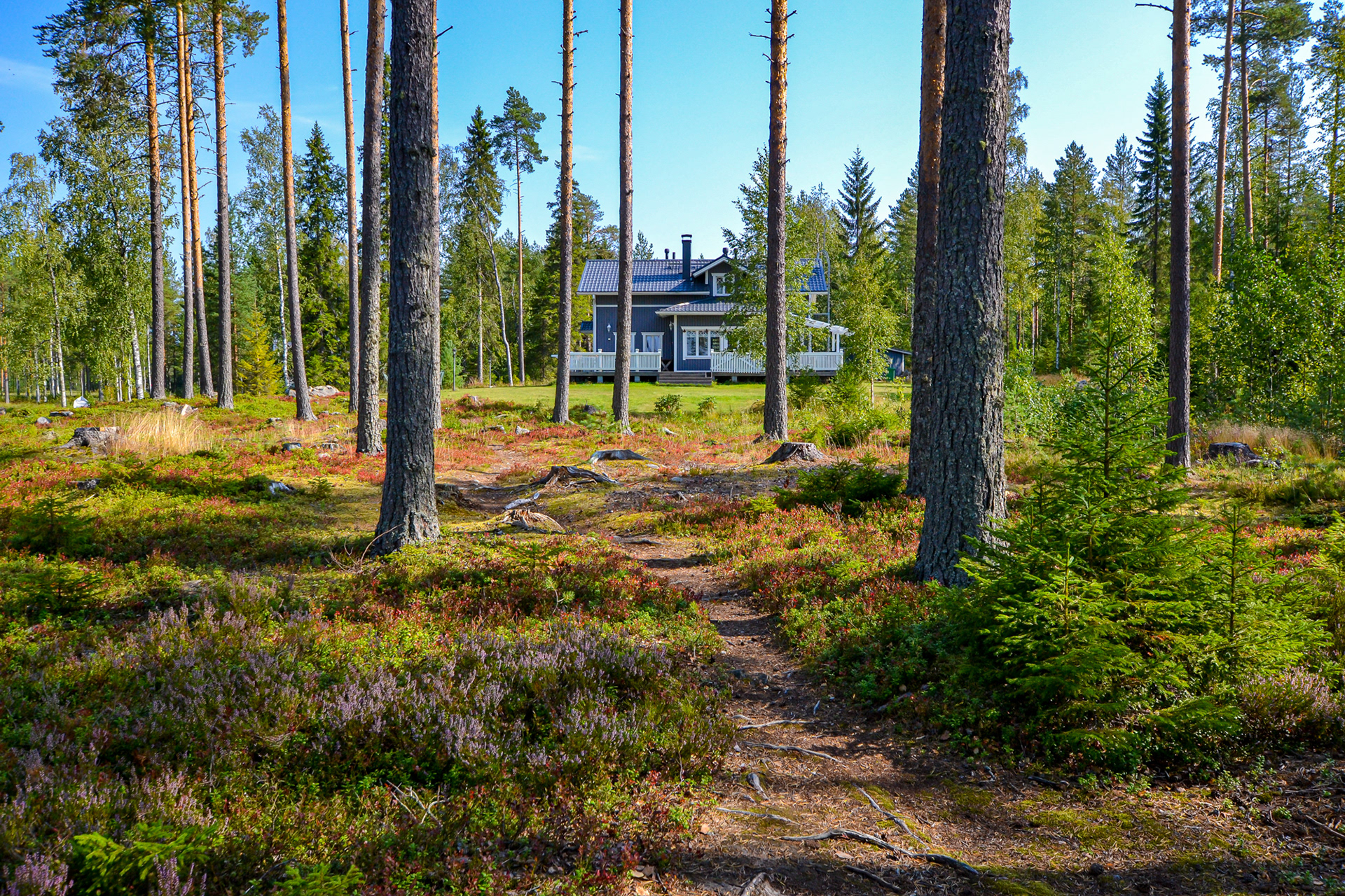 Vedensyli, Suonenjoki