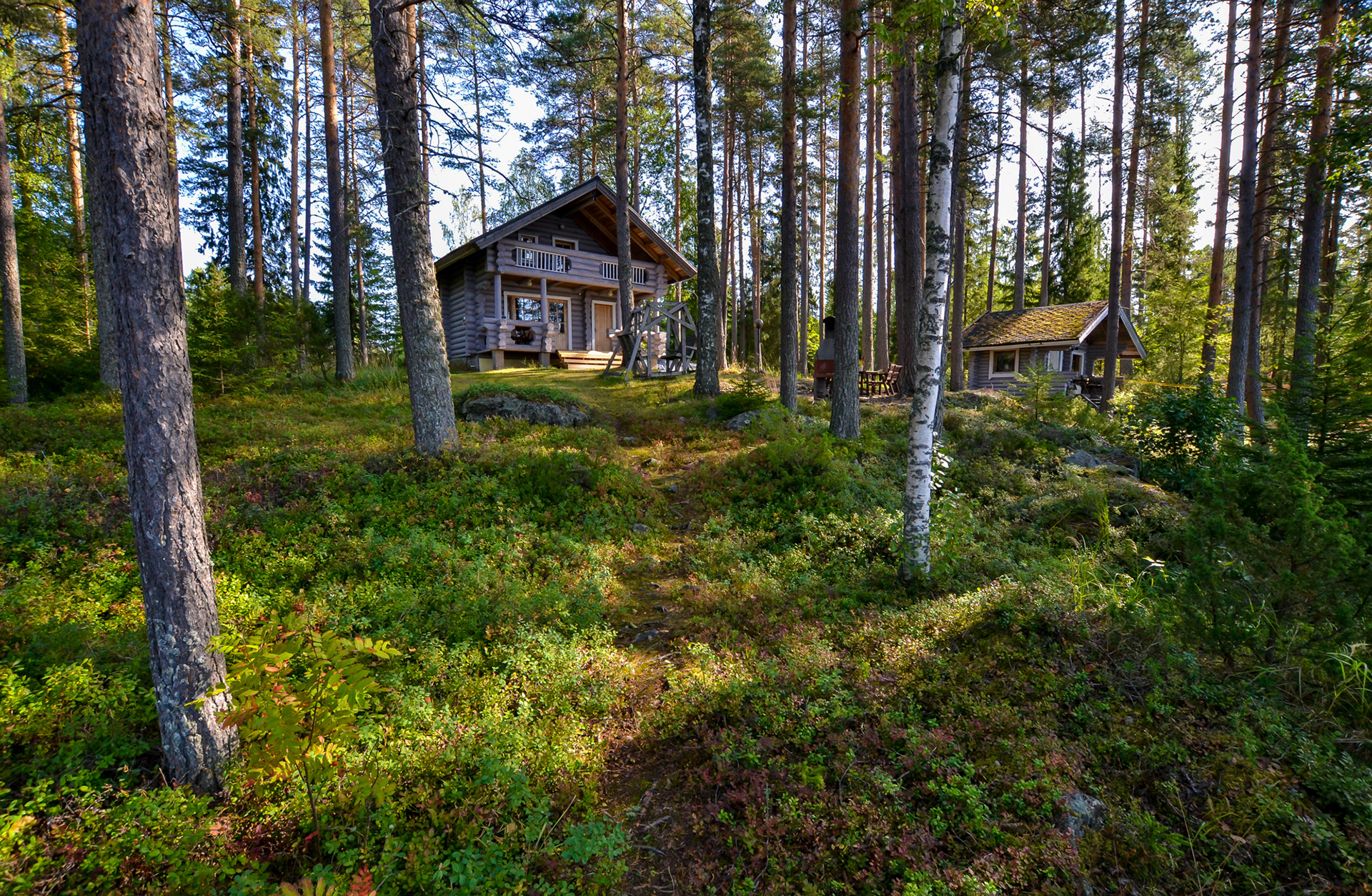 Tulikallio, Suonenjoki