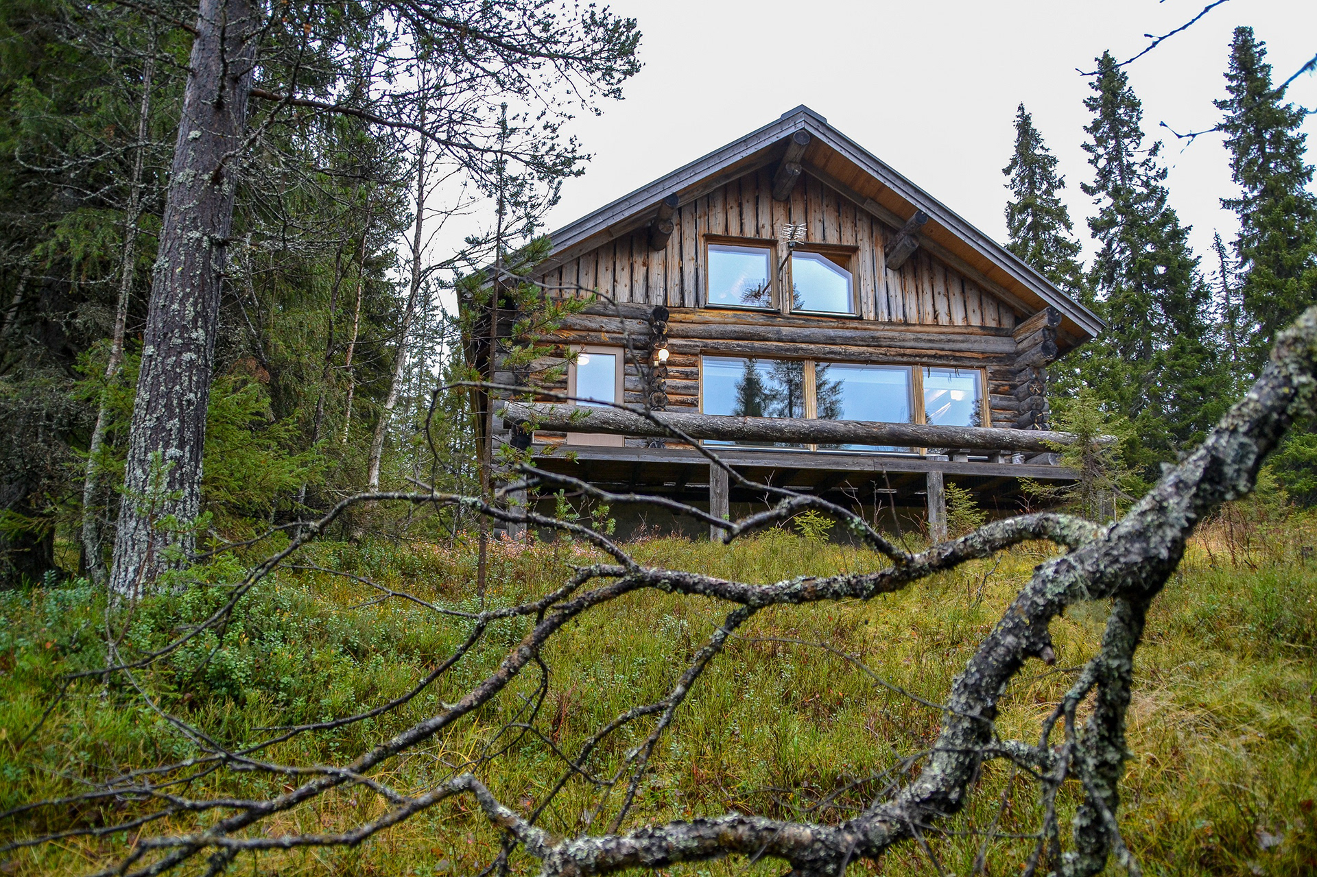Mustikka, Ruka