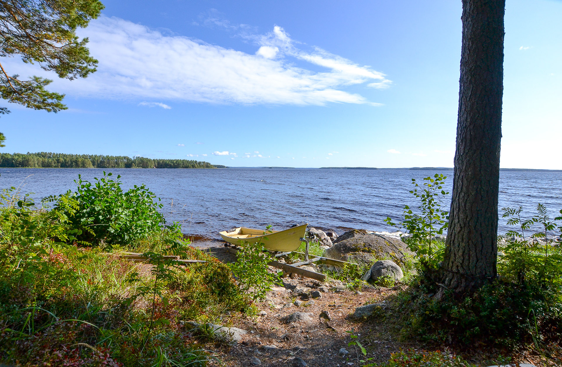 Hiisi, Koli