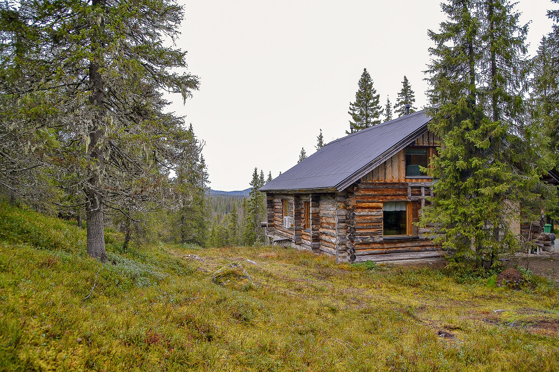 Karpalo, Ruka