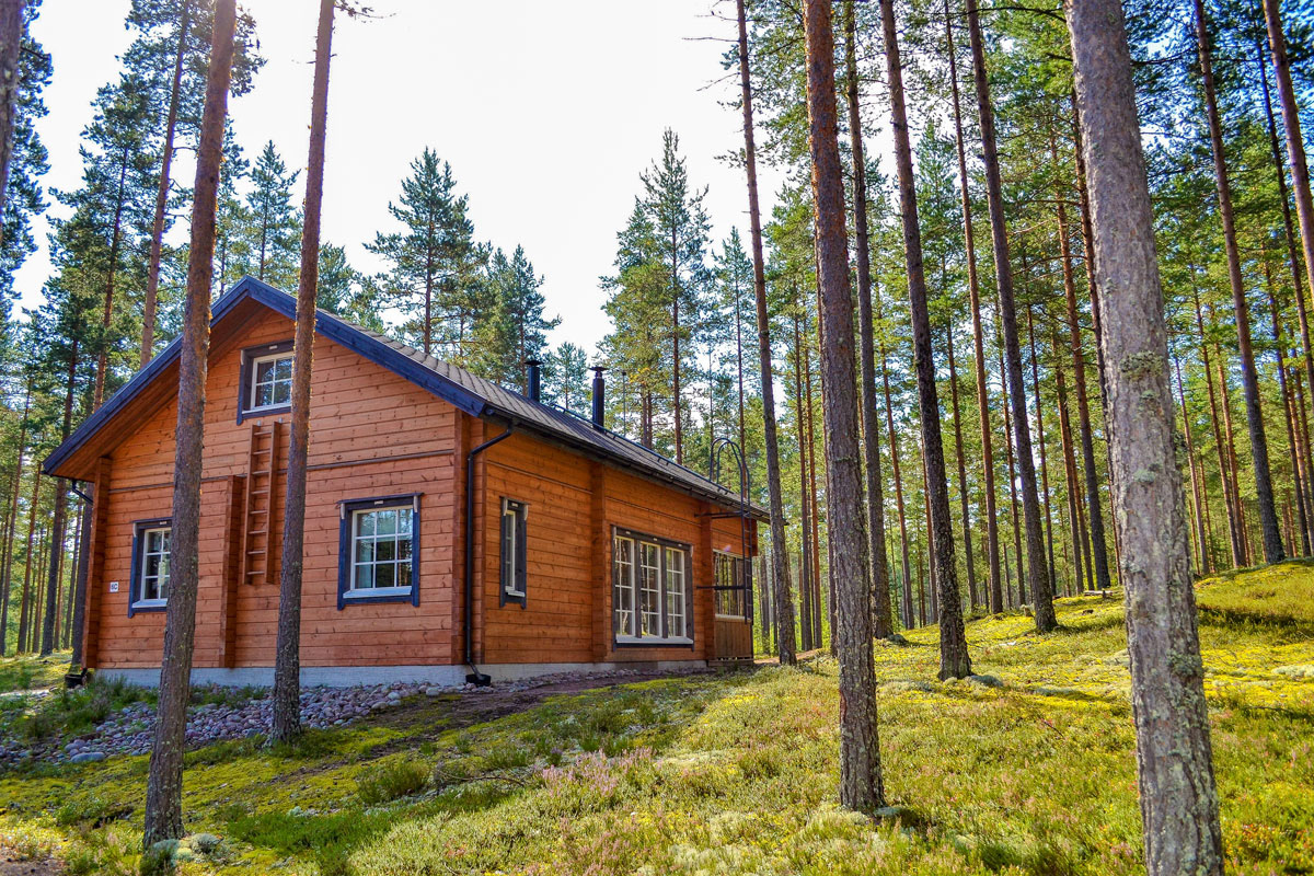 Luistokas, Jämijärvi