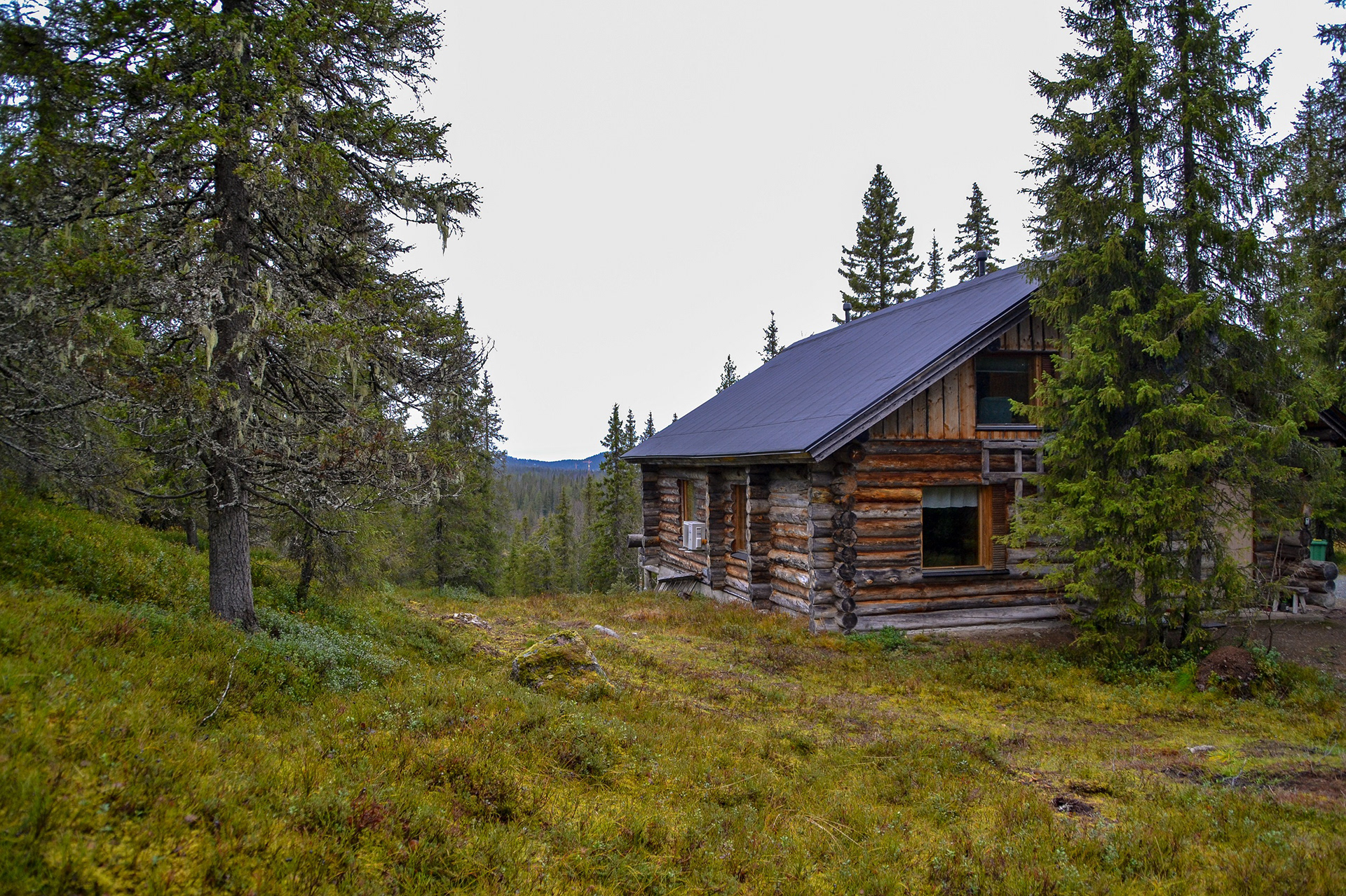 Karpalo, Ruka