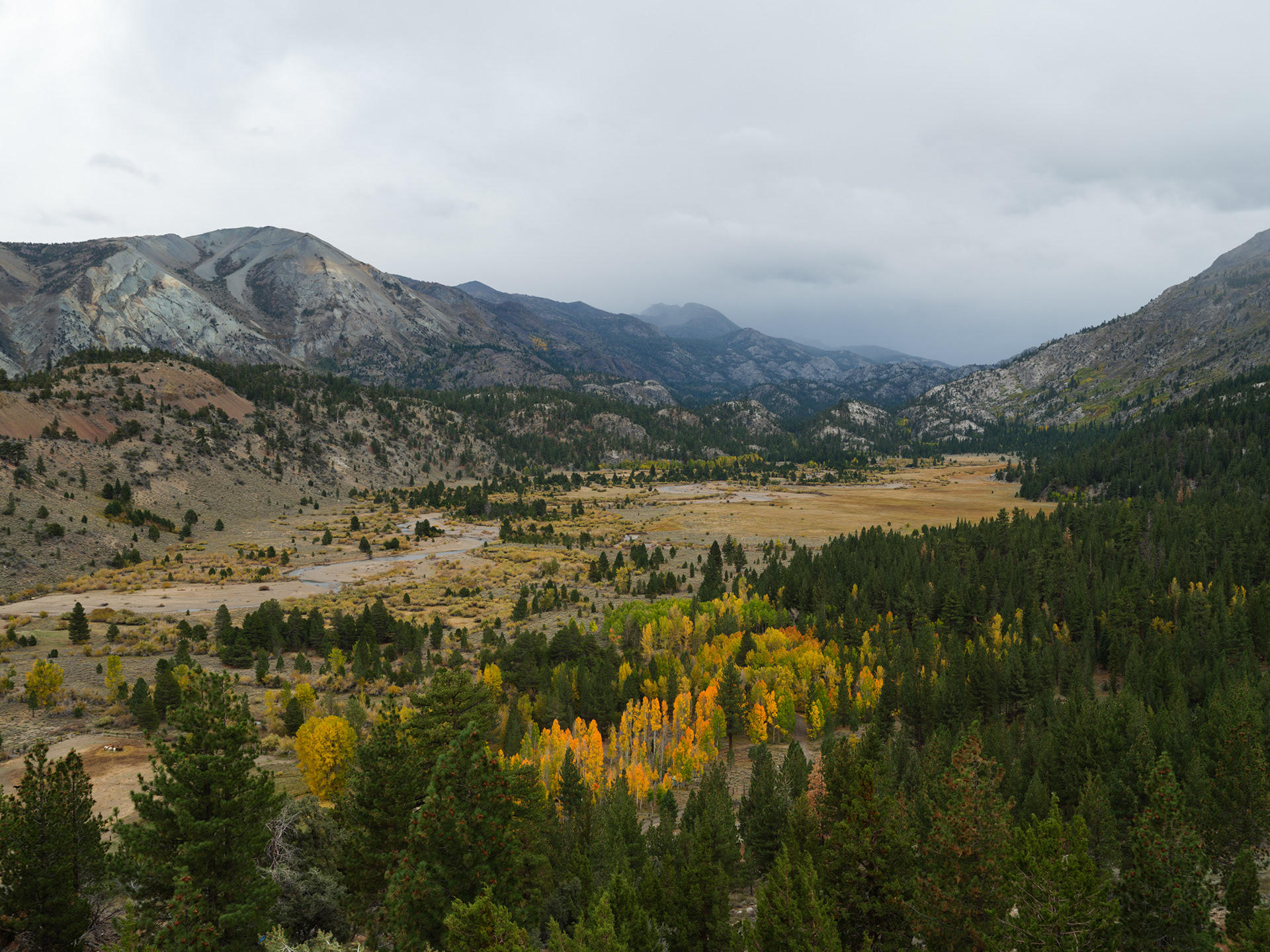 Leavitt Meadows